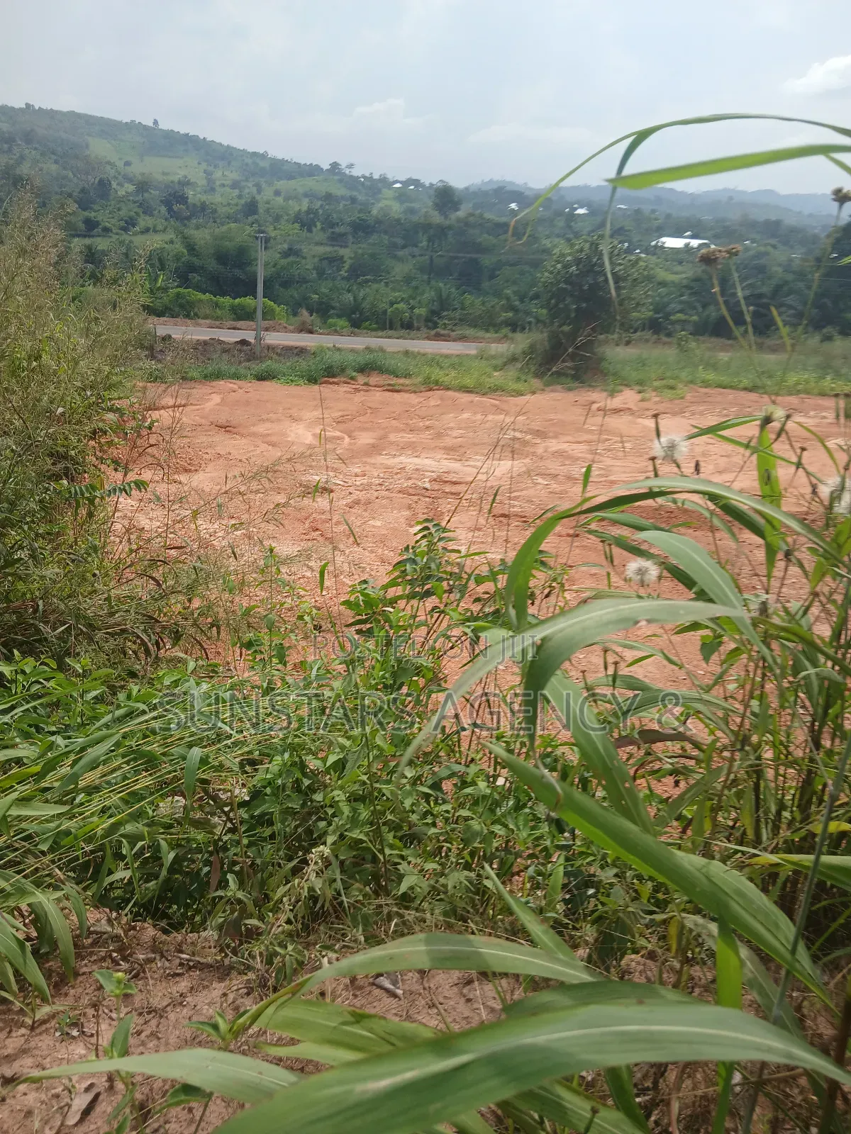 Roadside Land for Sale in Hohoe in Hohoe Municipal
