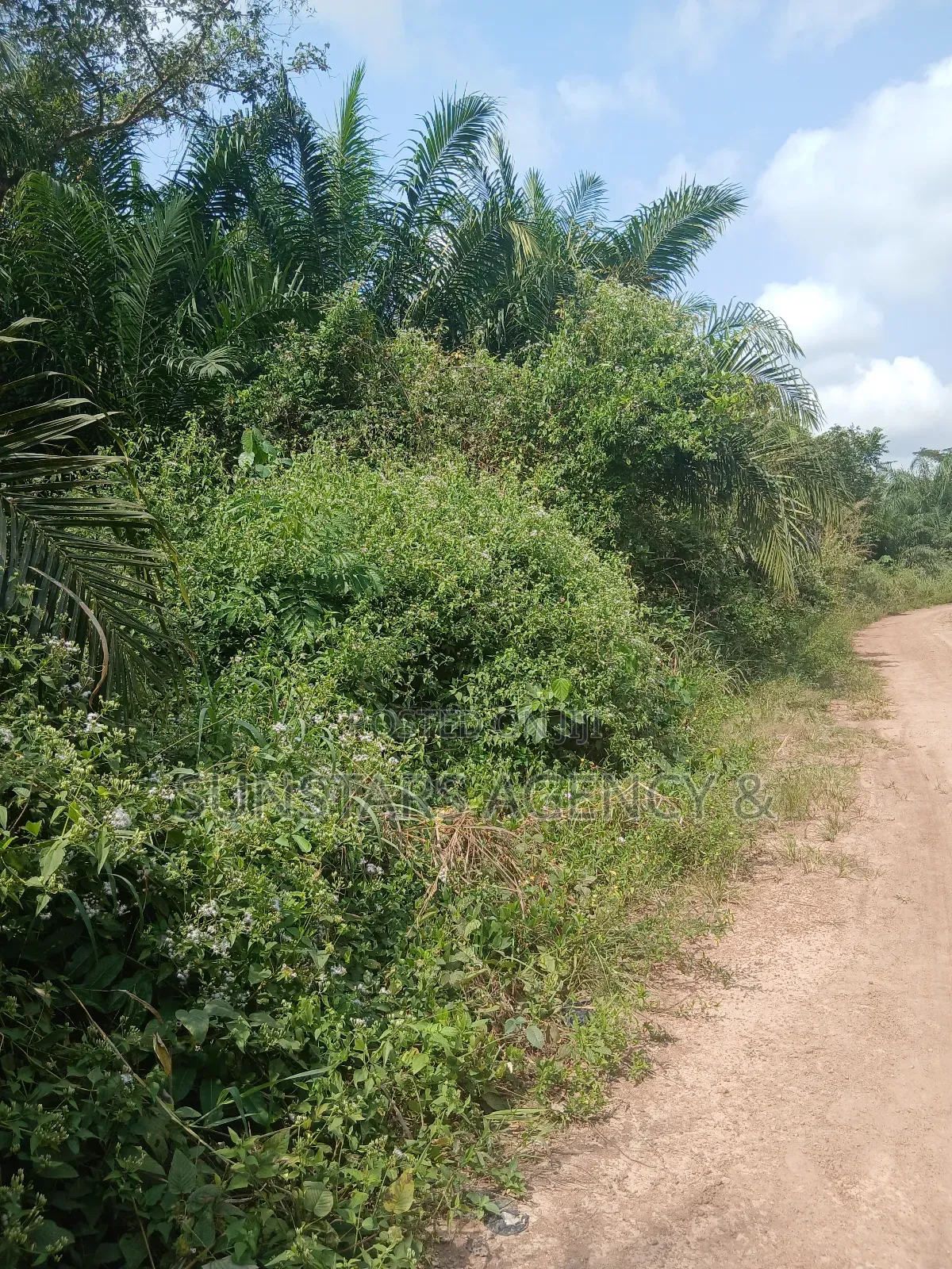Farm Land For Sale In Hohoe in Hohoe Municipal