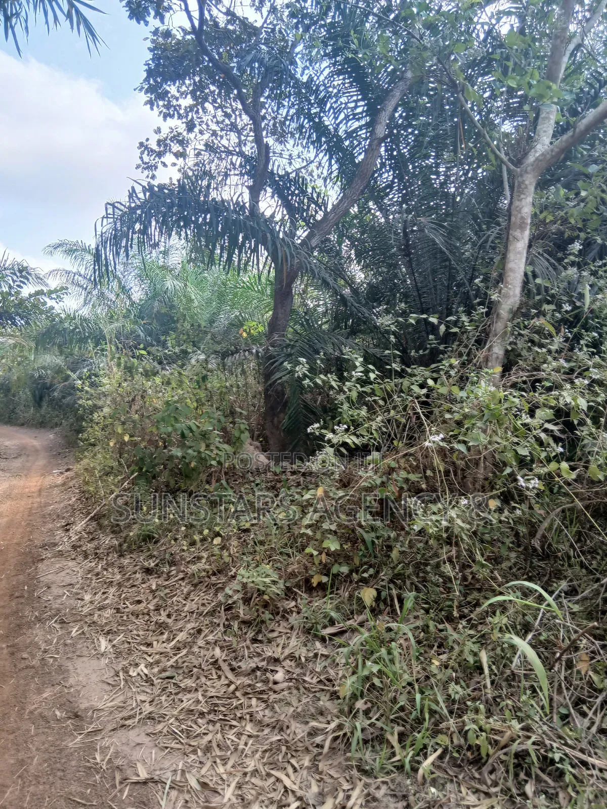 Farm Land for Sale at Wegbe,Hohoe in Hohoe Municipal