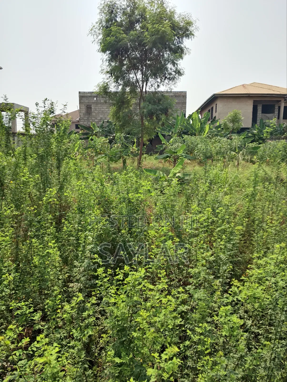 Full Plot Fenced With Gate for Hot Sale Comm25 in Tema Metropolitan
