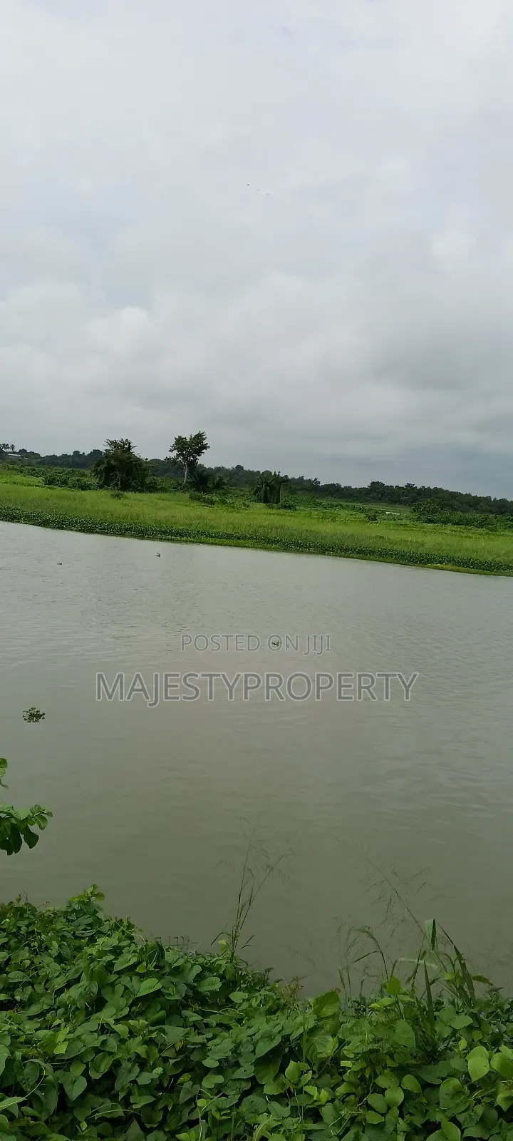 2000 Plots Of Land For Sale/Lease At V/R Dorfor Gborkpo in Central Tongu