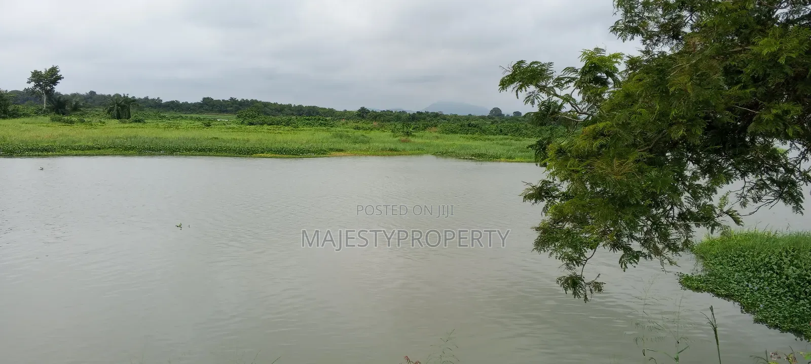 2000 Plots Of Land For Sale/Lease At V/R Dorfor Gborkpo in Central Tongu