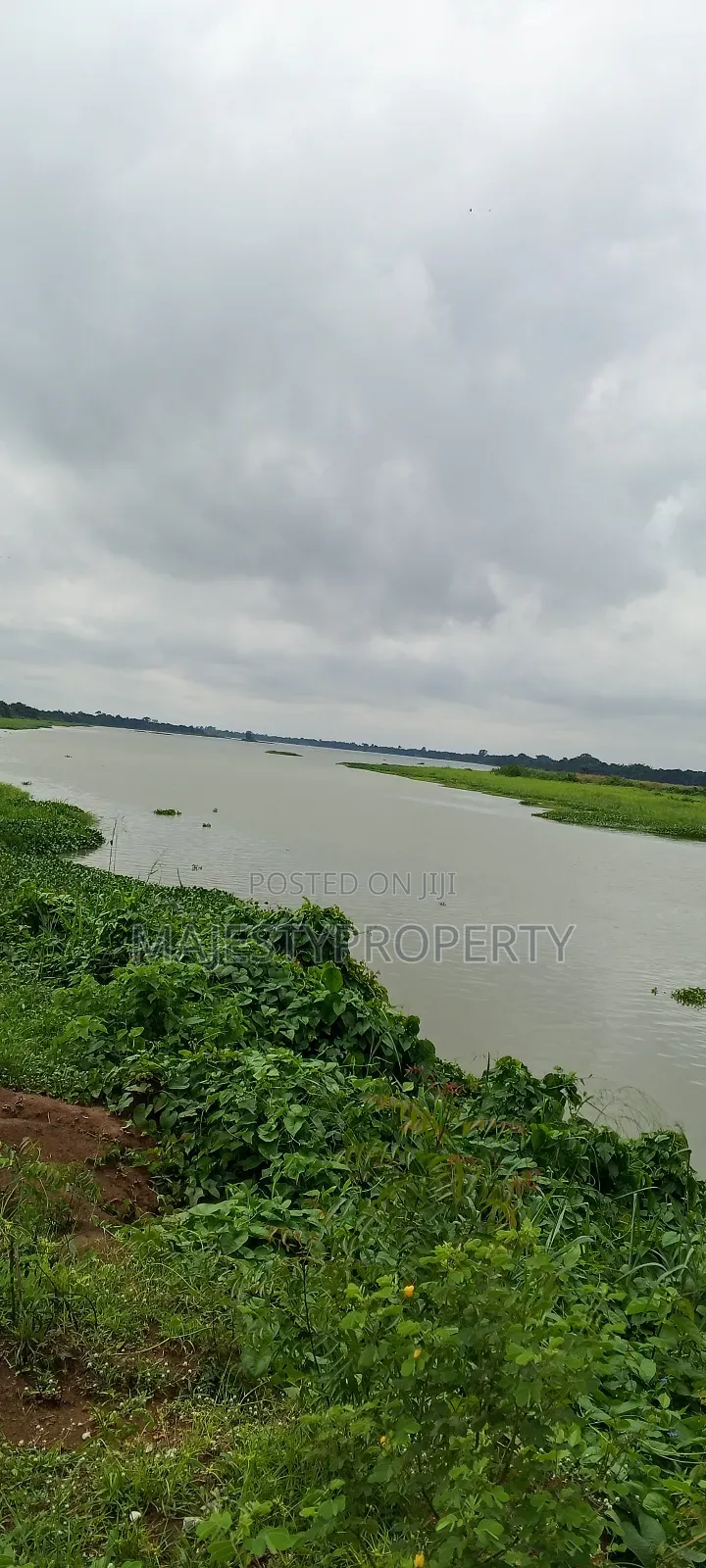 2000 Plots Of Land For Sale/Lease At V/R Dorfor Gborkpo in Central Tongu