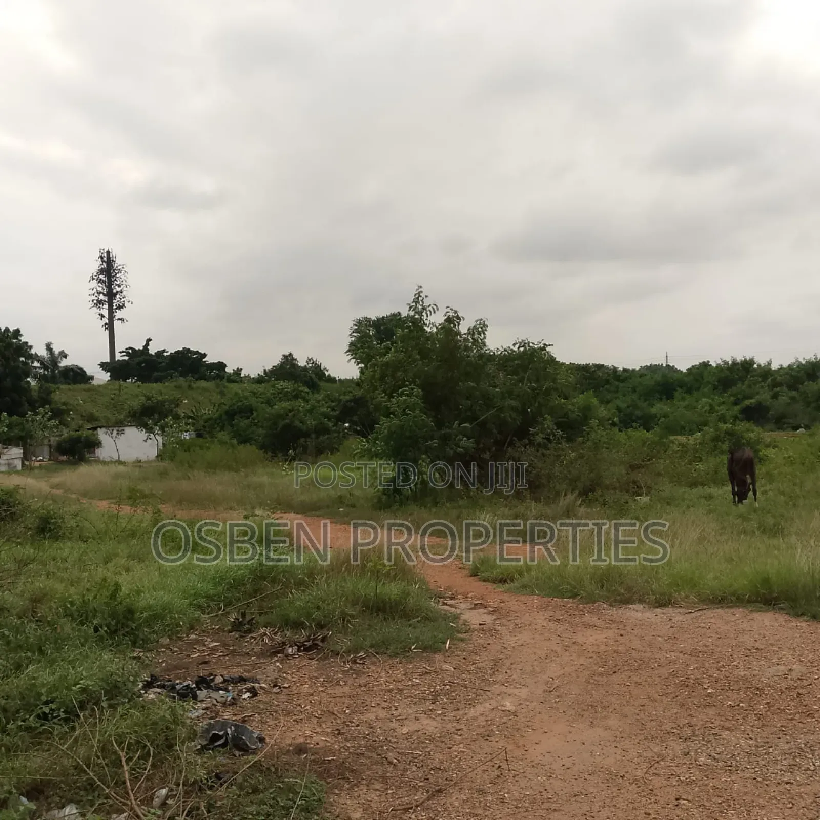 4.65 Acres of Commercial / Residential Land for Sale in Airport Residential Area
