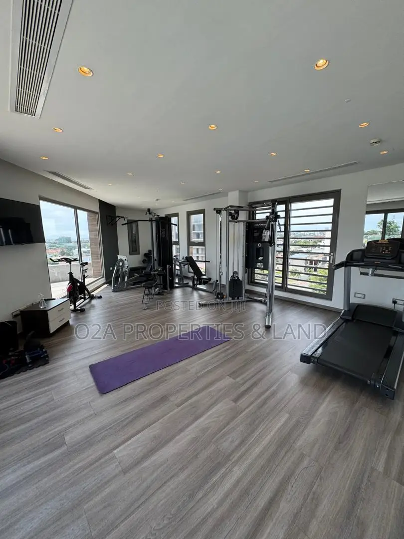 Furnished 2bdrm Apartment in Cantonments, Acquinas for sale in Acquinas