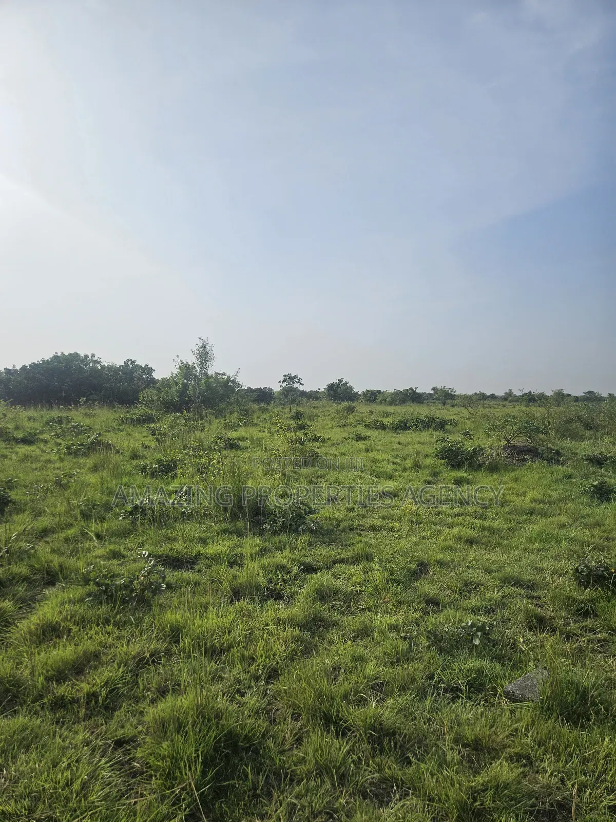 2500 Acres Of Land For Sale At Shai Hills in Accra Metropolitan