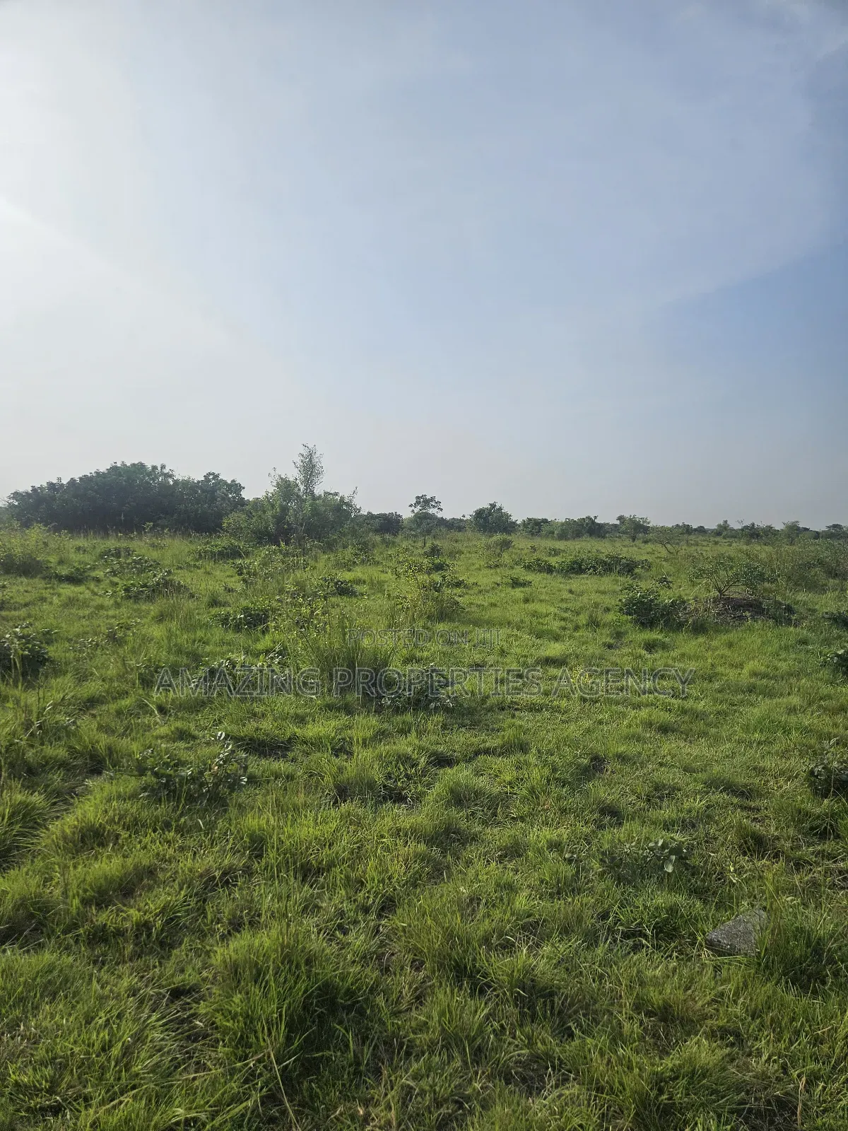 2500 Acres Of Land For Sale At Shai Hills in Accra Metropolitan
