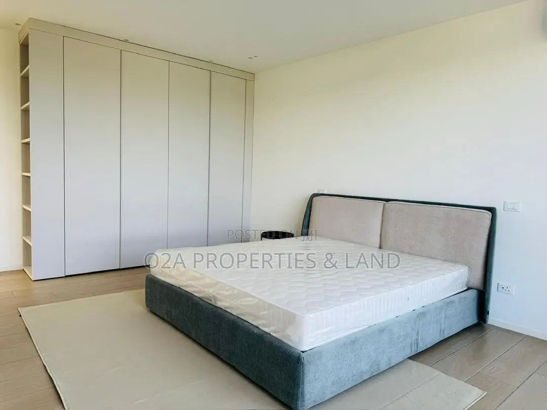 Furnished 4bdrm House in Cantonments, Acquinas for rent in Acquinas