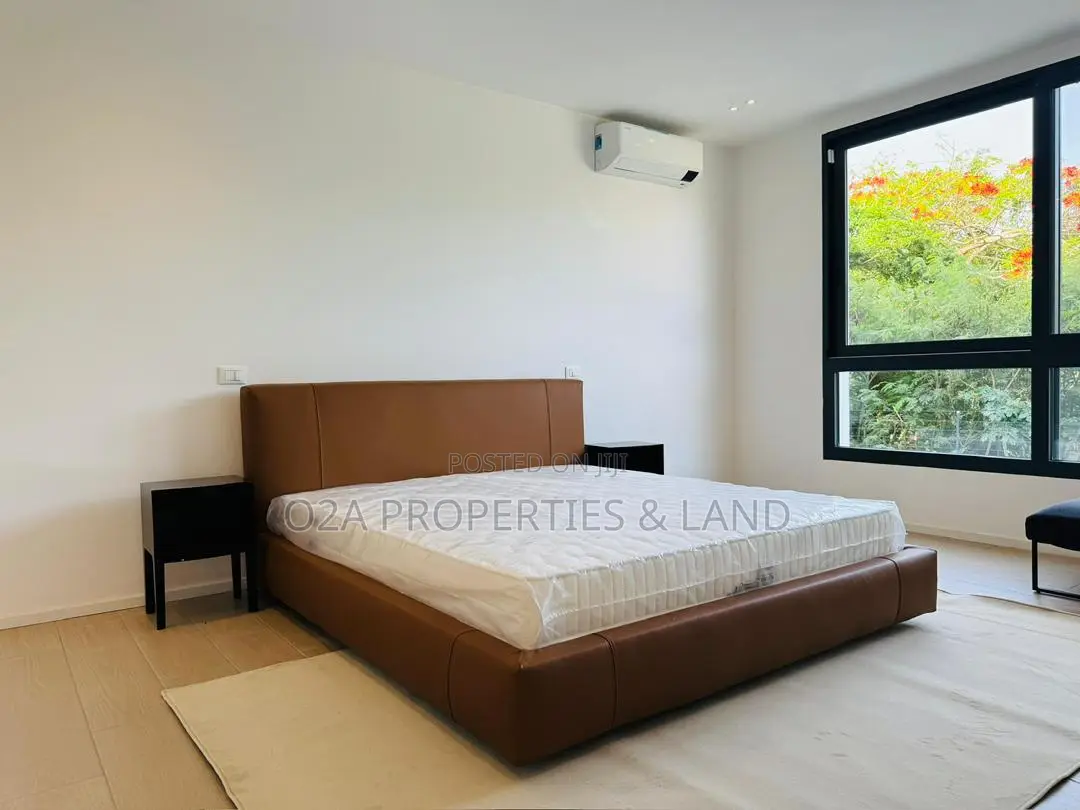 Furnished 4bdrm House in Cantonments, Acquinas for rent in Acquinas