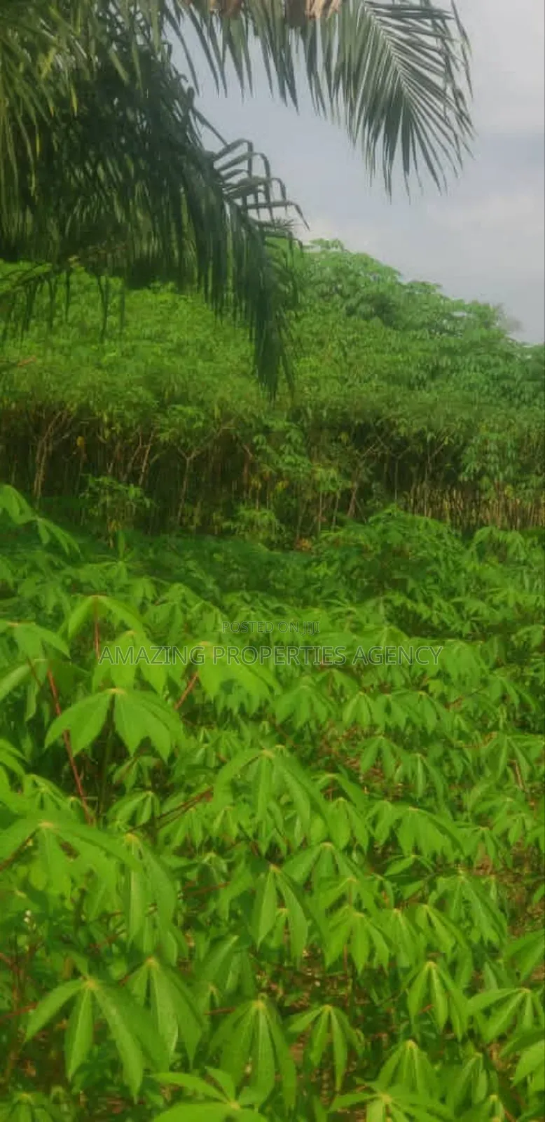 1000acres Of Land For Sale At Dawenya Central University in Community 25