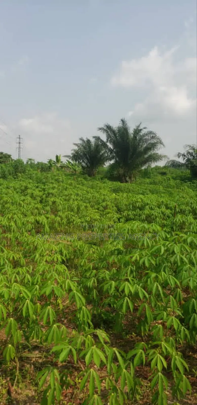 1000acres Of Land For Sale At Dawenya Central University in Community 25