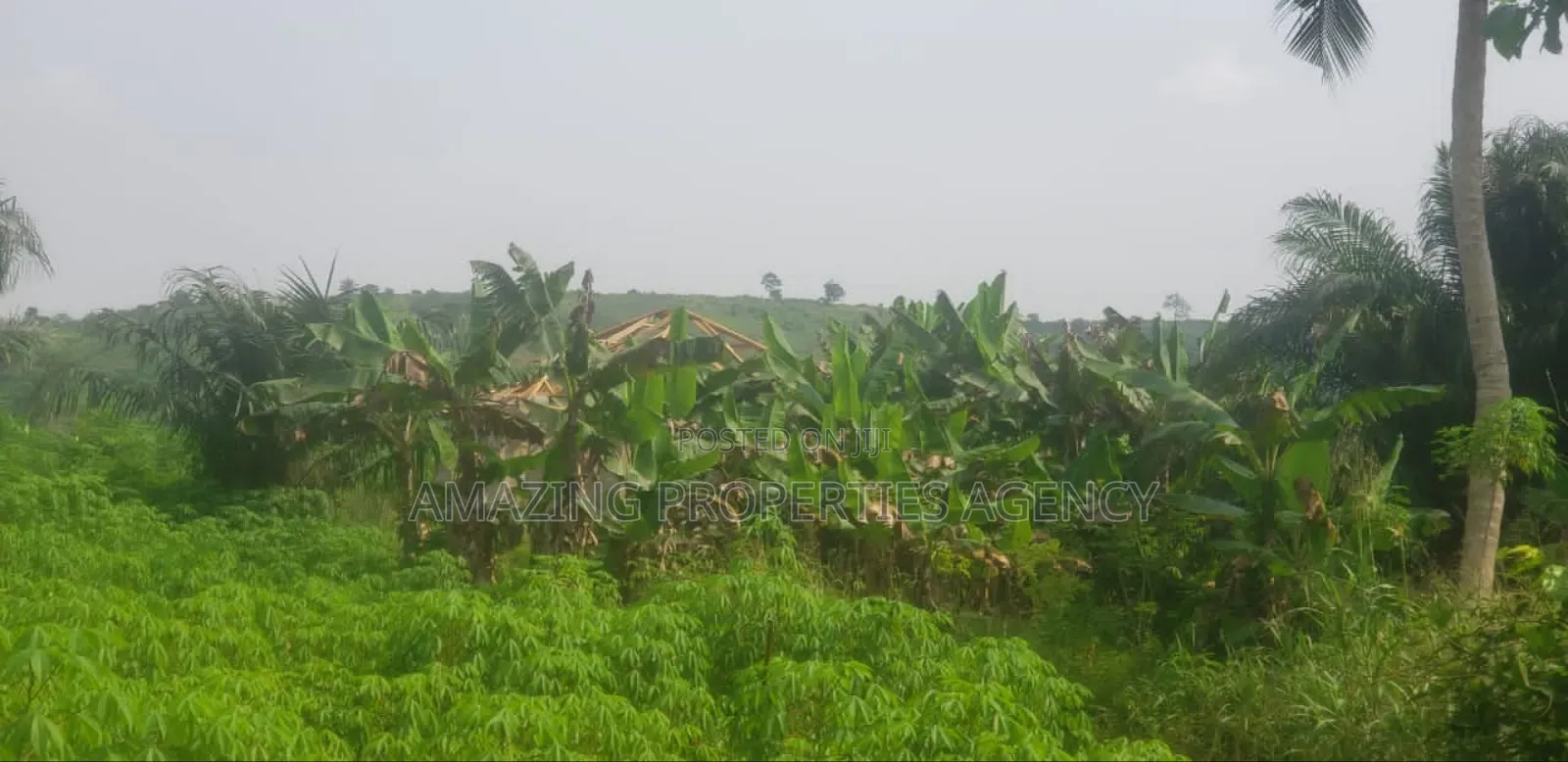 1000acres Of Land For Sale At Dawenya Central University in Community 25