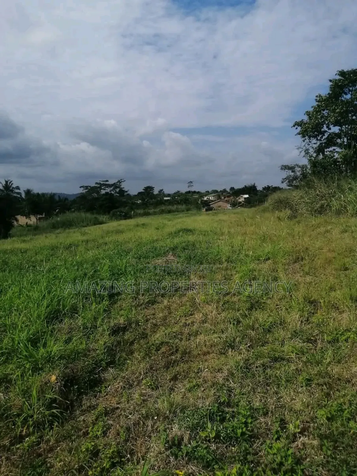 5000 Acres Of Farmland For Sale At Ekumfi in Ekumfi