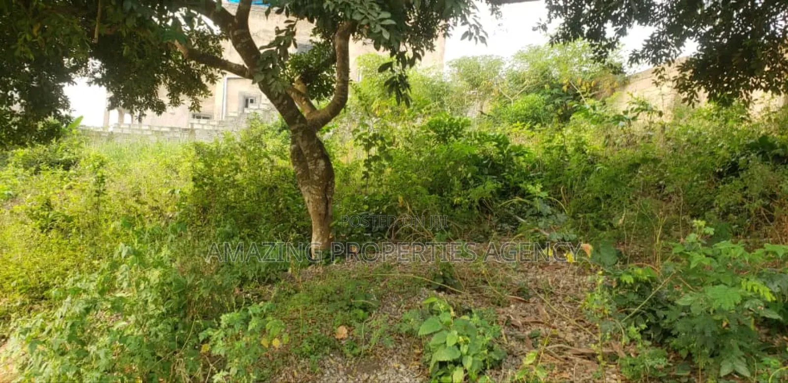 1.03acres Of Main Roadside Land Available For Sale At Labone in Labone