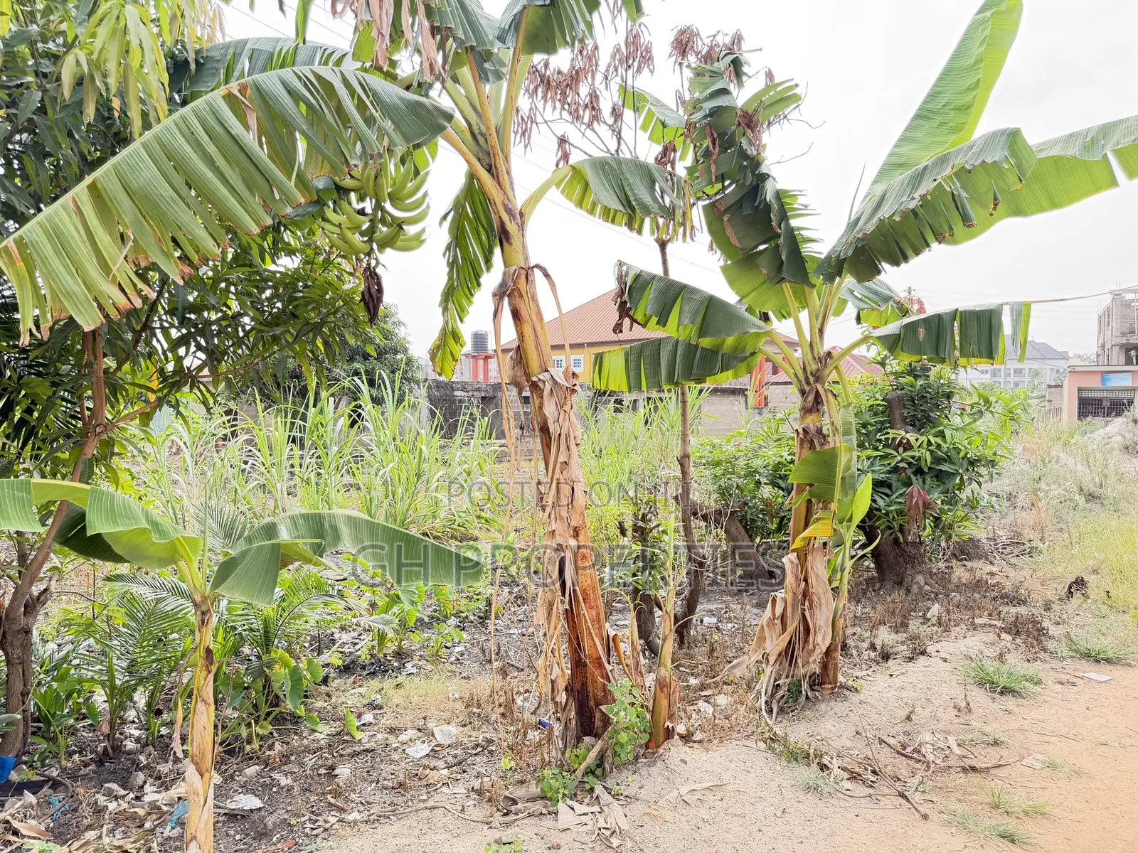 One Plot for Sale at Daban. in Kumasi Metropolitan