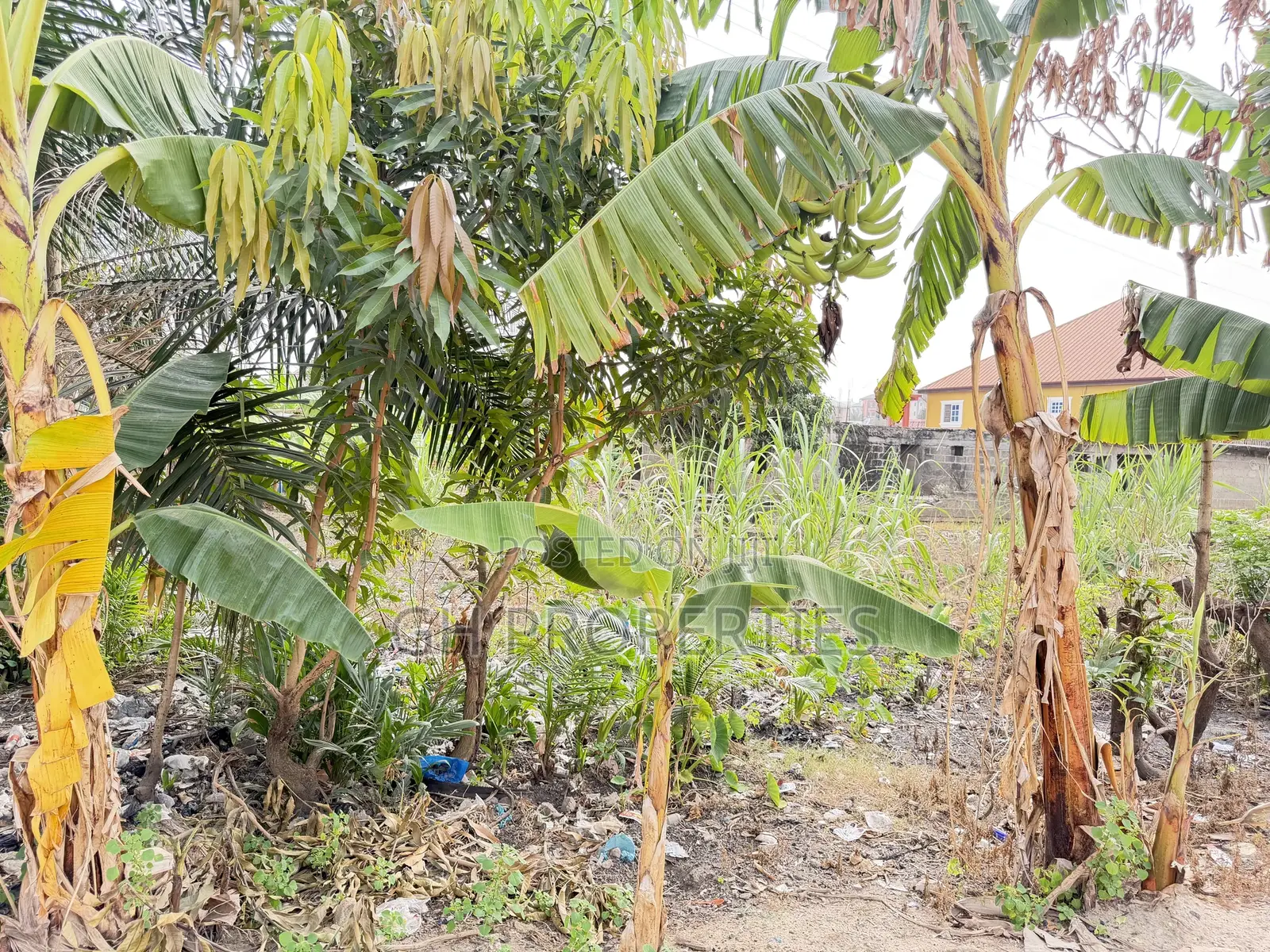 One Plot for Sale at Daban. in Kumasi Metropolitan