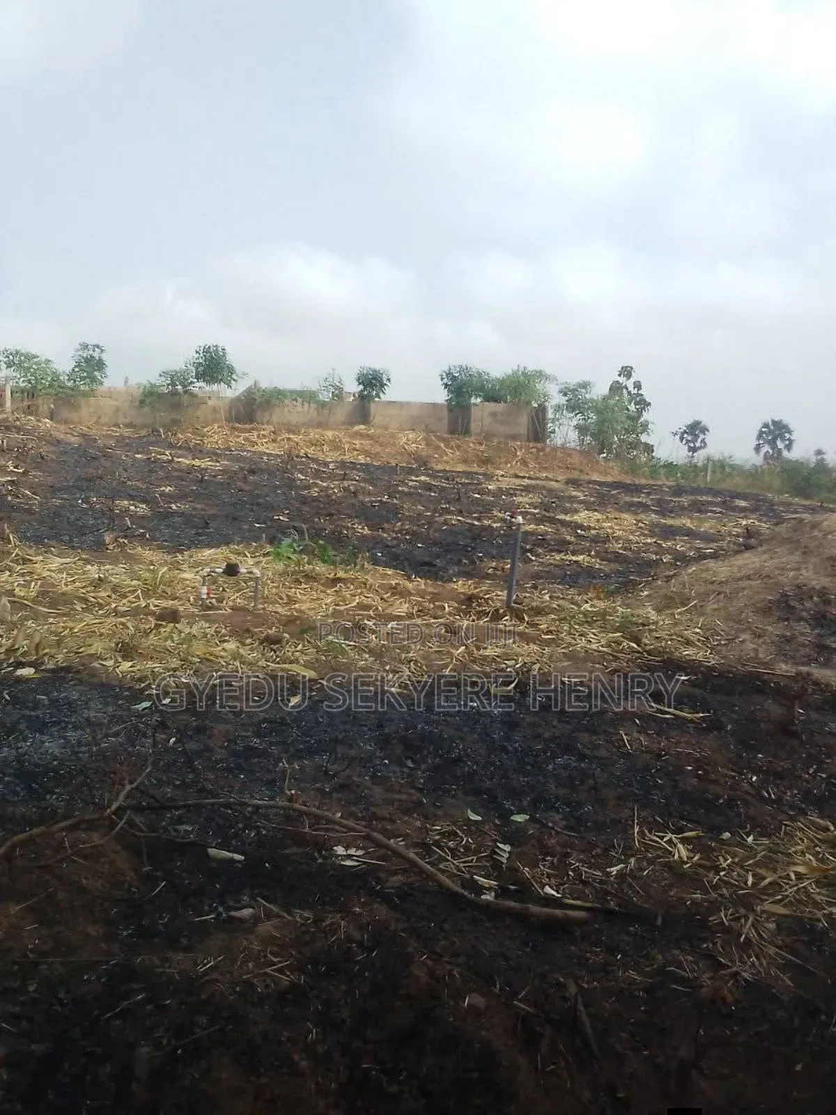 Residential Plot for Sale on Dromaa Road, Around Word of Friends Sch. in Berekum Municipal