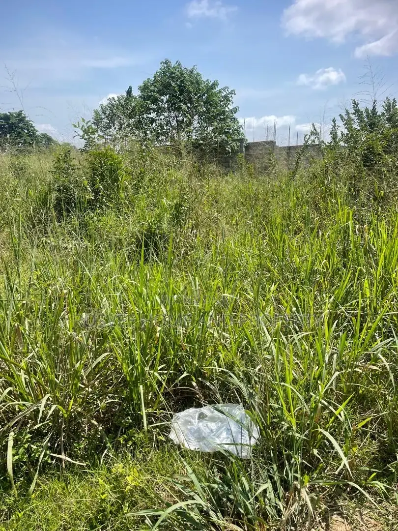 Donyina Land in Kumasi Metropolitan