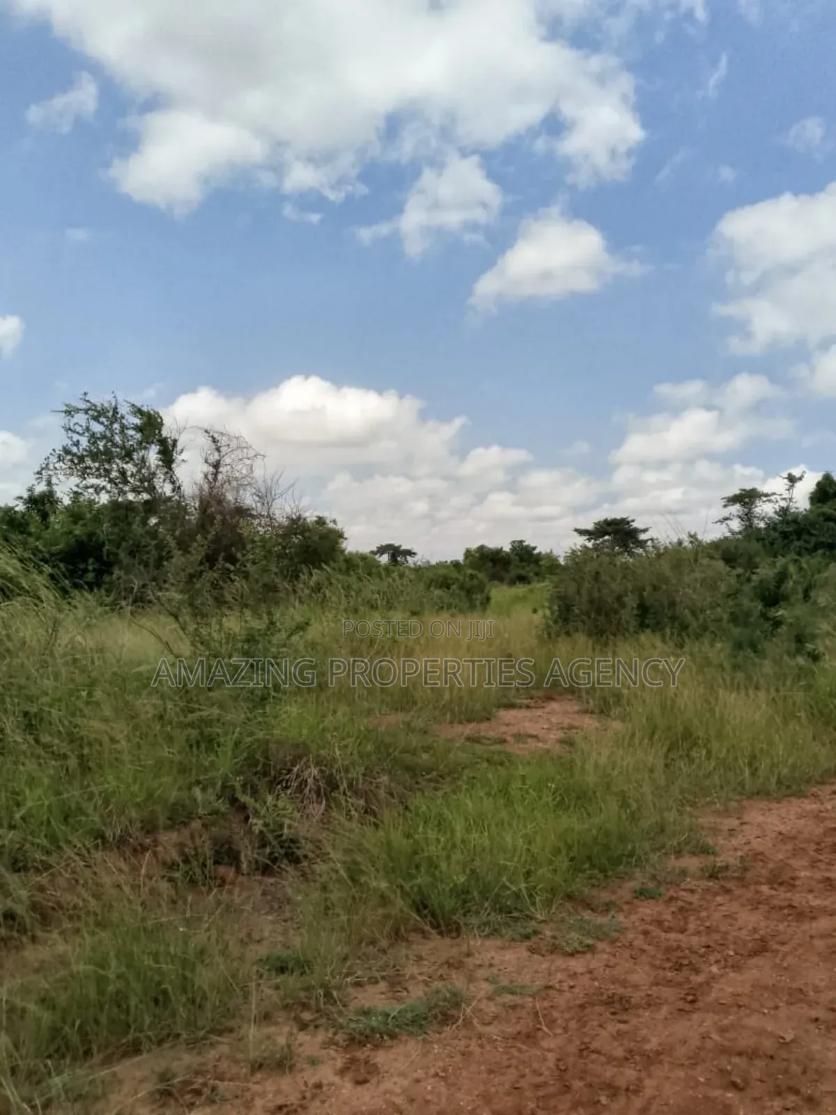 17 Plots With 6 Bedrooms Duplex and Warehouse for Sale at Nsawam in Accra Metropolitan