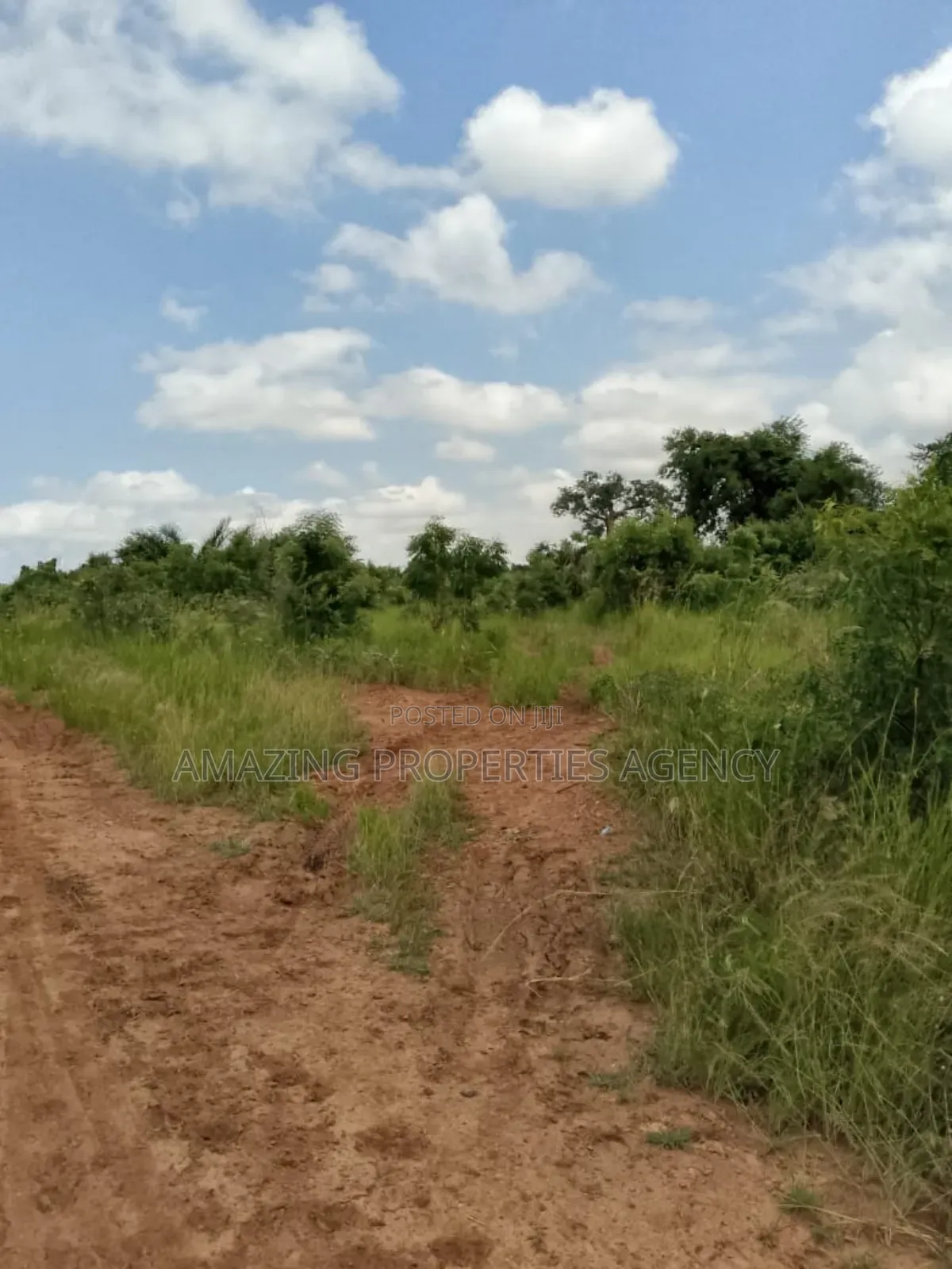 17 Plots With 6 Bedrooms Duplex and Warehouse for Sale at Nsawam in Accra Metropolitan