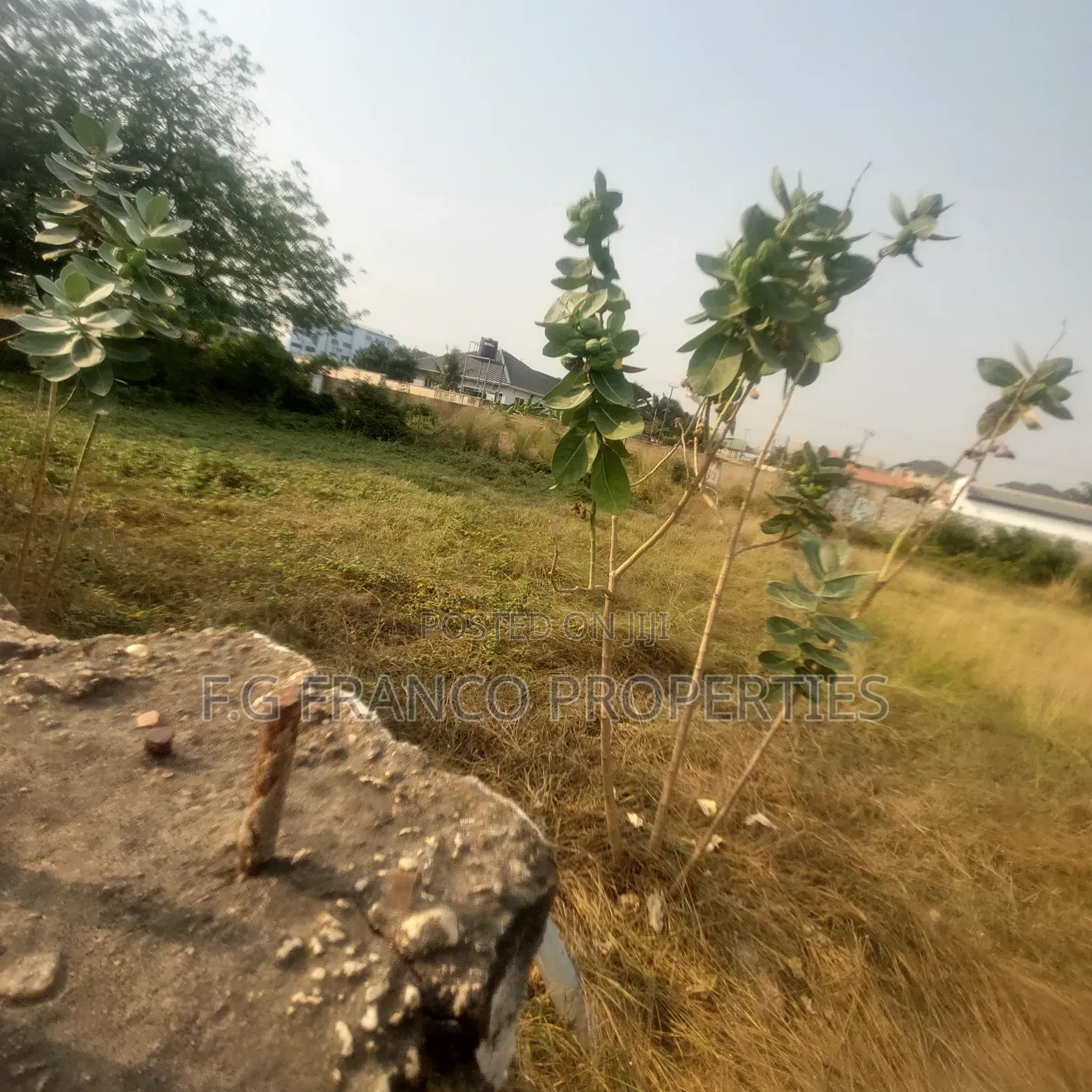 2 Plots of Land for Sale at East Airport in Airport Residential Area