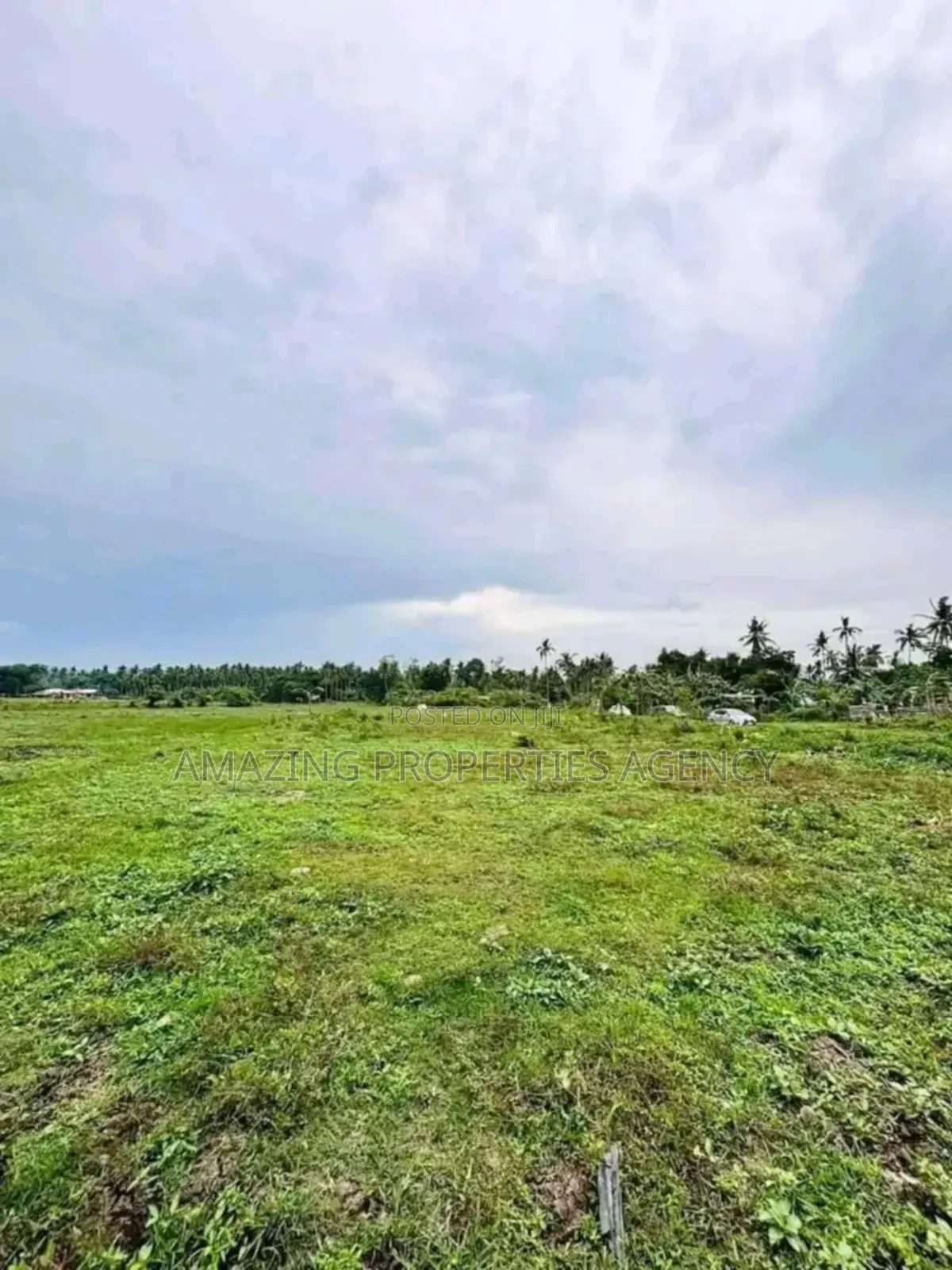 1000 Acres Of Land For Sale At Juapong Akosombo in Asuogyaman