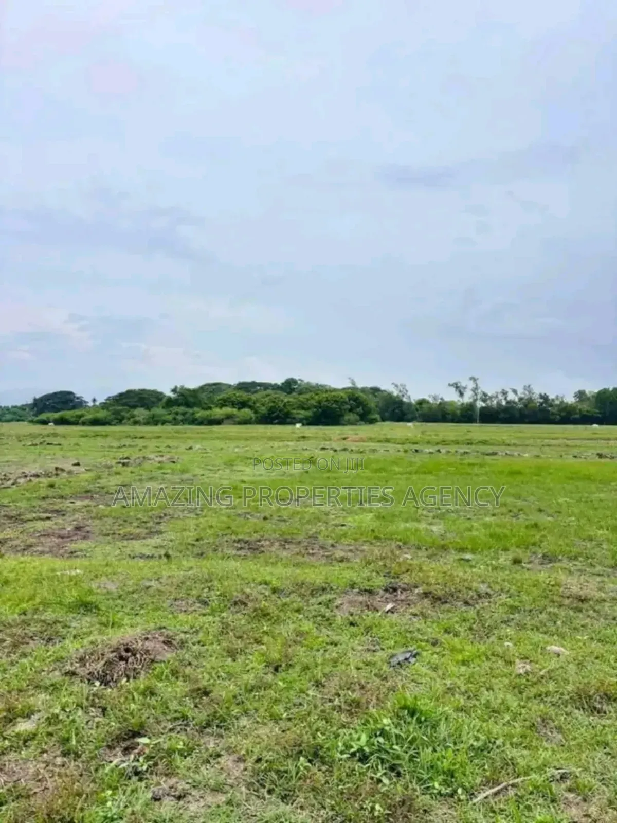1000 Acres Of Land For Sale At Juapong Akosombo in Asuogyaman