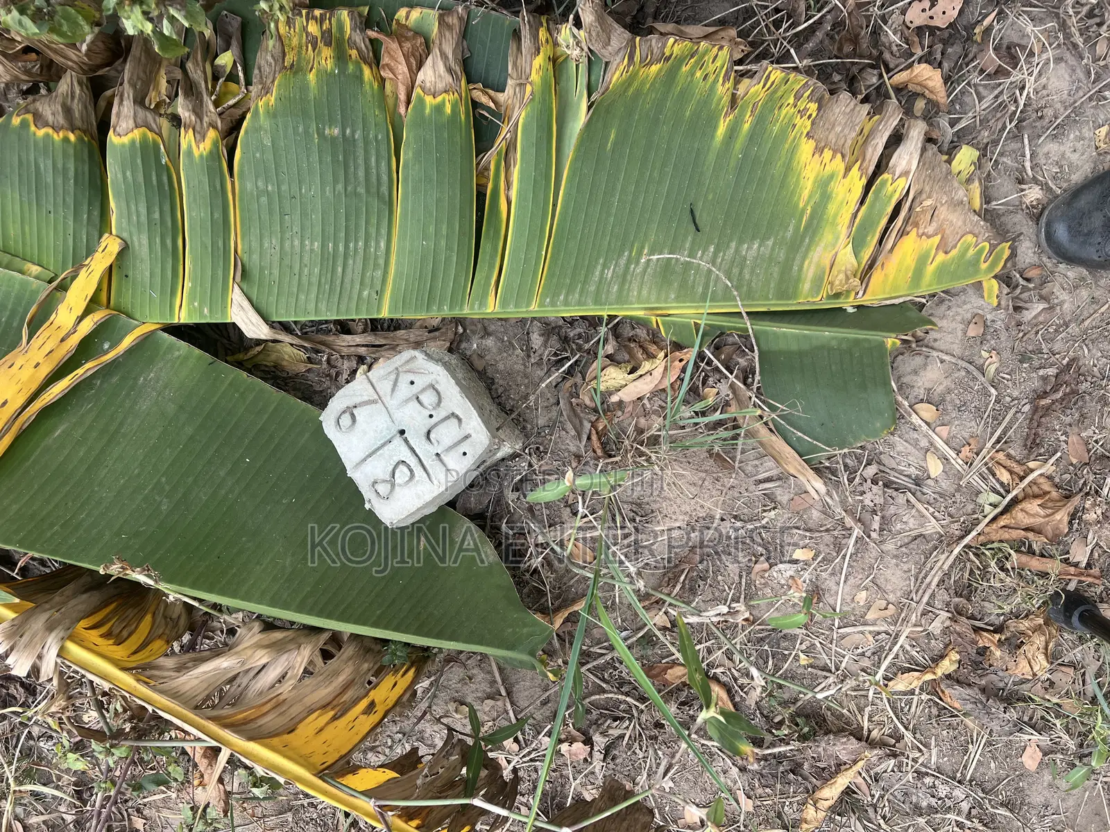Land for Sale in Ejisu-Juaben Municipal