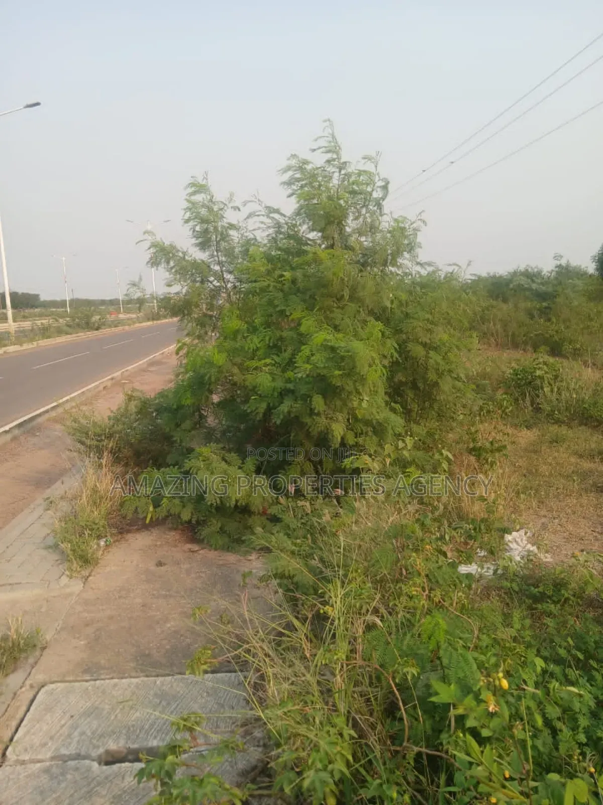 40acres of Land at Trassaco Valley (Borteyman in Adjiriganor