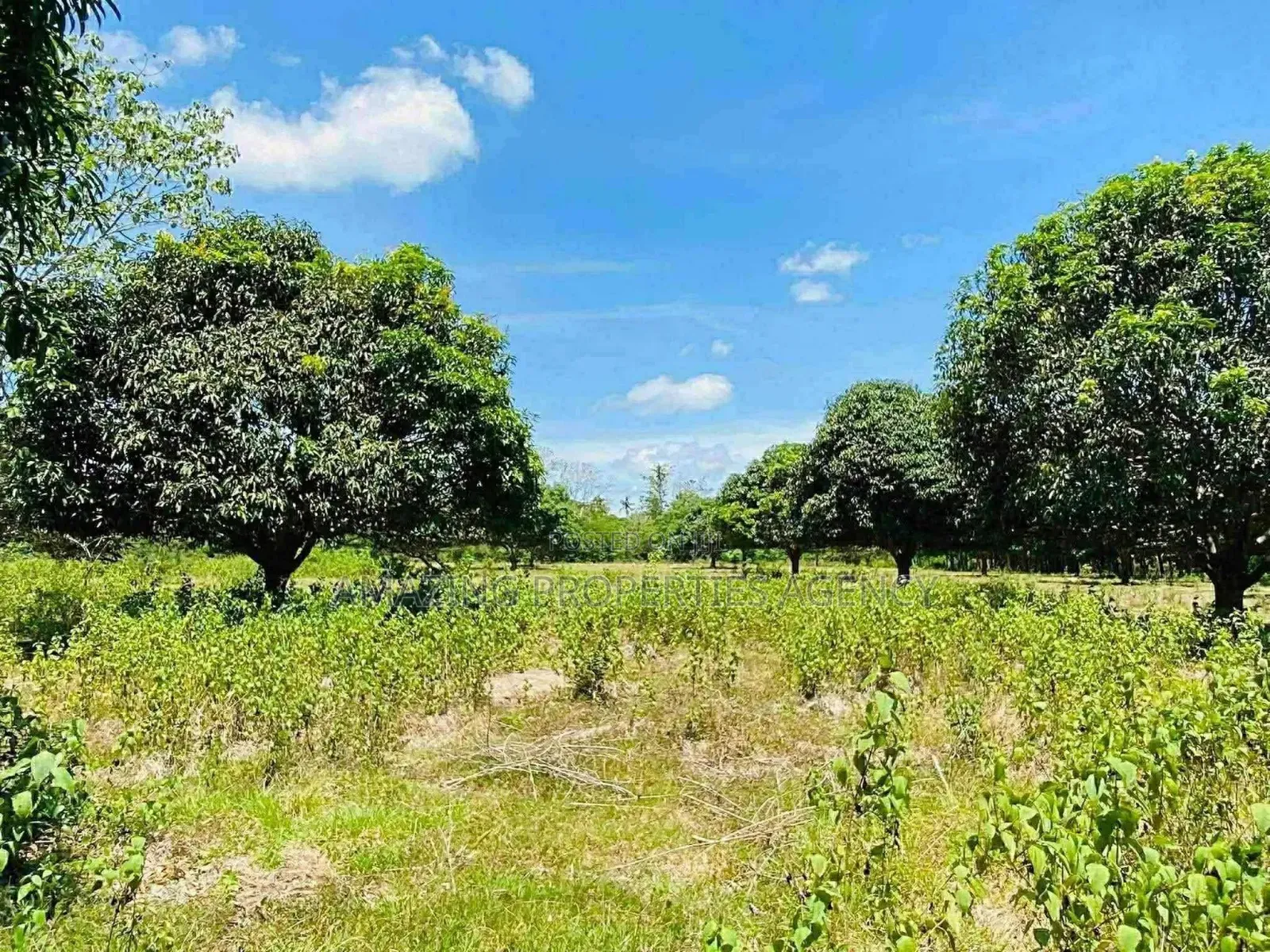 .1.05 Acres of Prime Roadside Land in the Airport Residential Area in Airport Residential Area