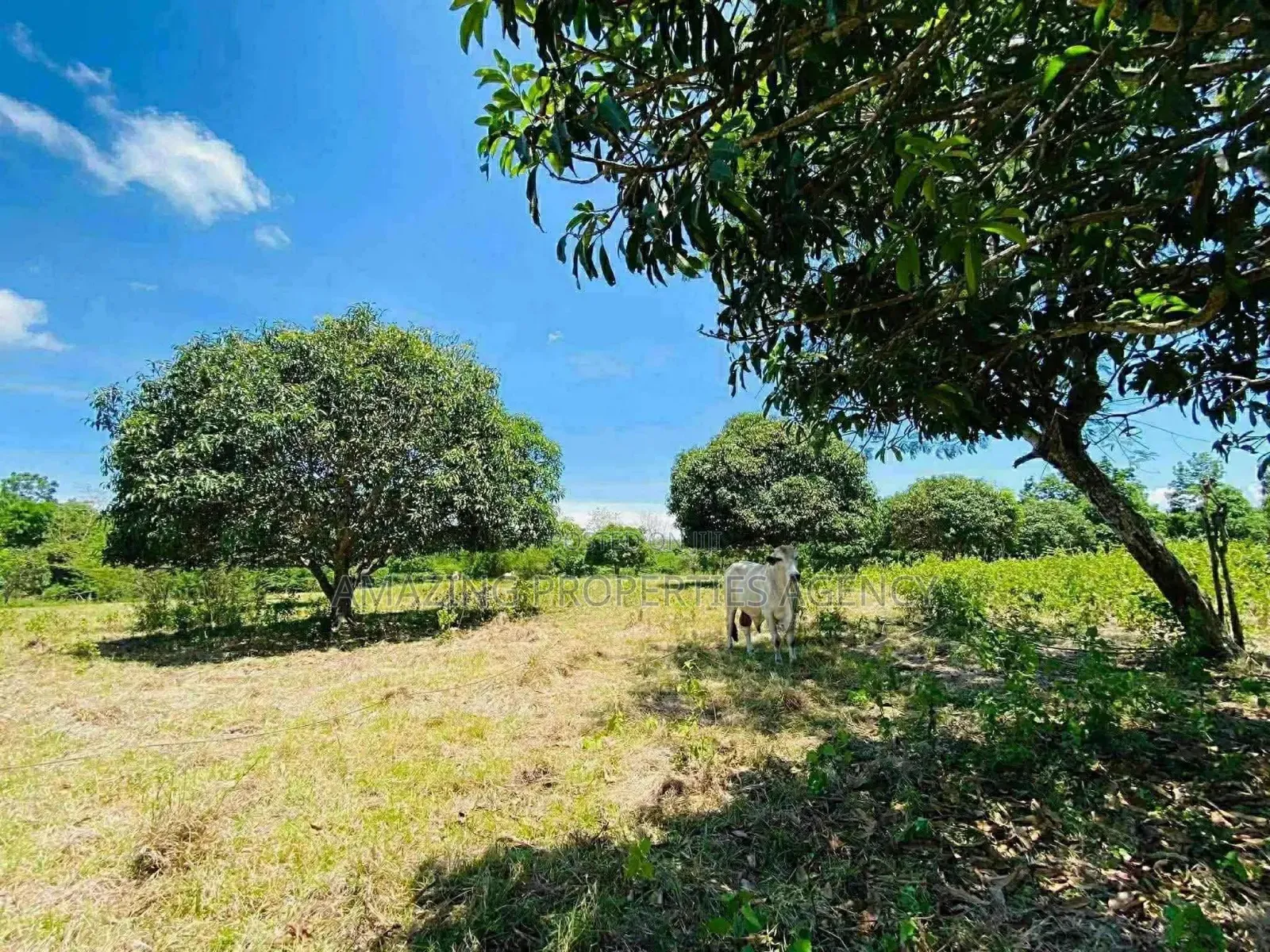 .1.05 Acres of Prime Roadside Land in the Airport Residential Area in Airport Residential Area
