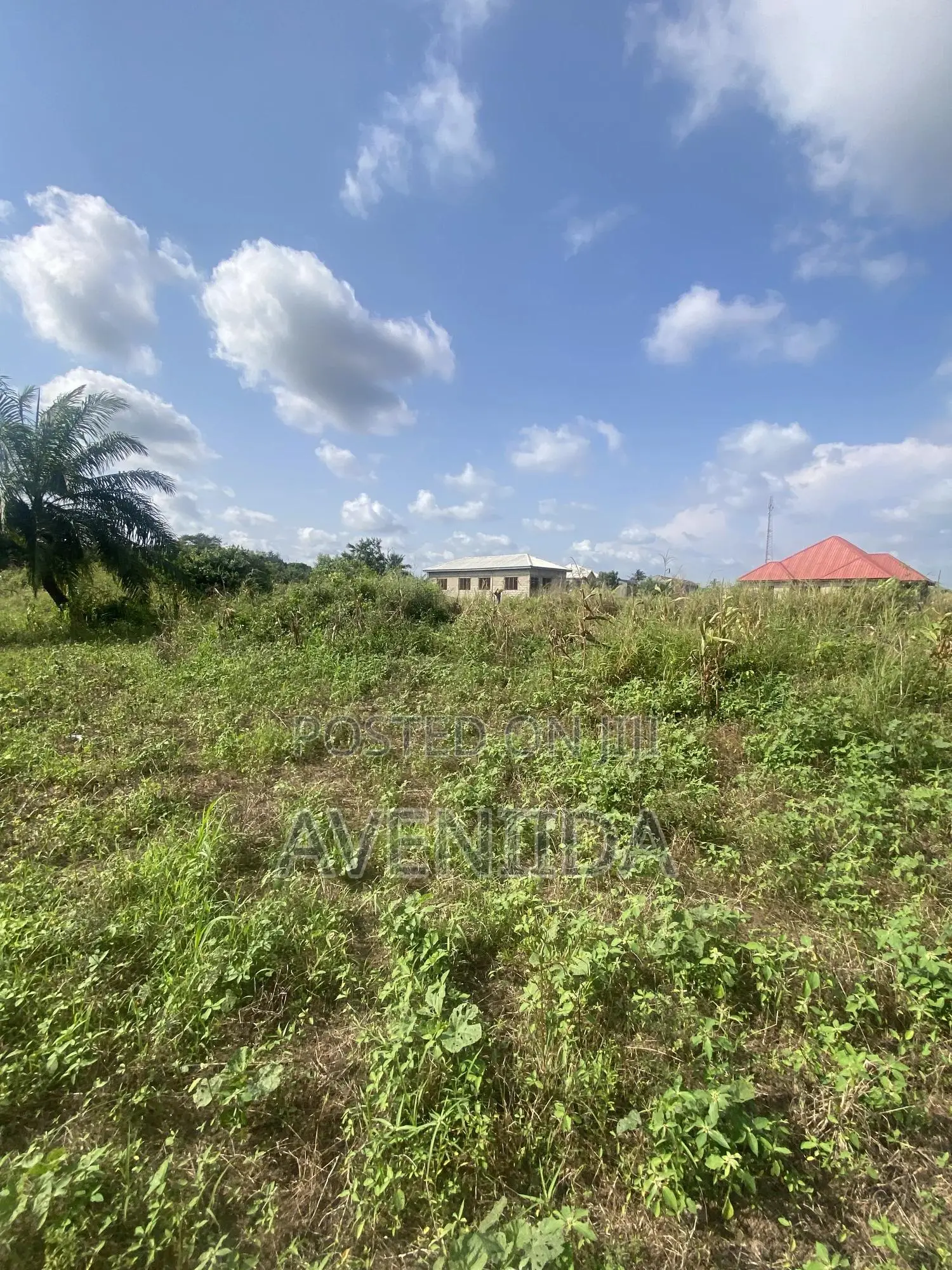 Affordable Beach Land in Komenda/Edina/Eguafo/Abirem Municipal