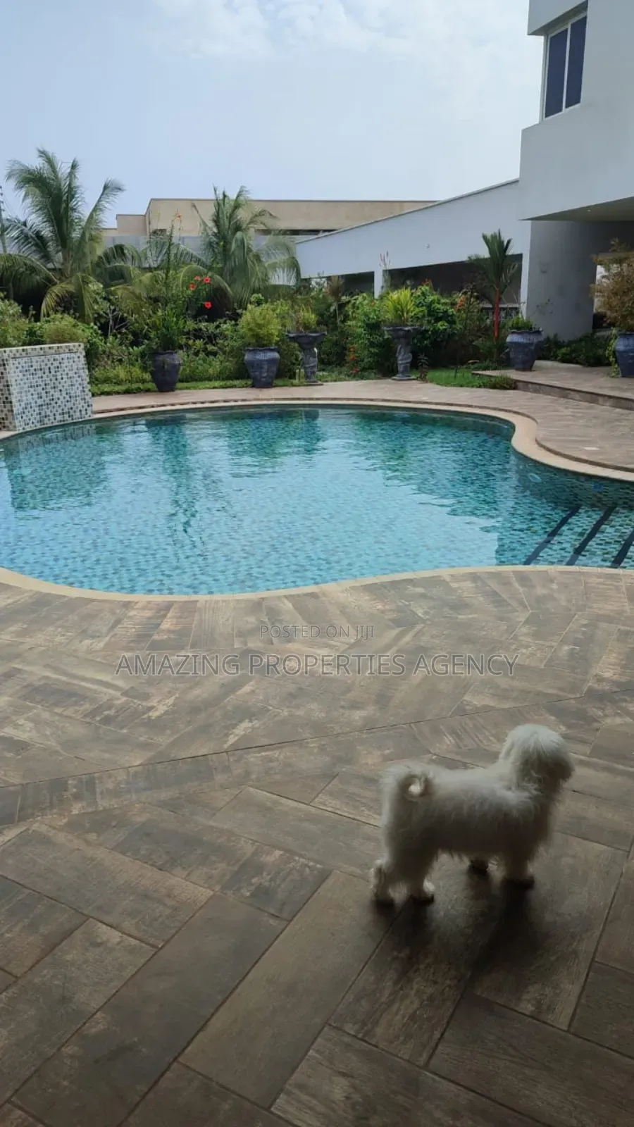 5bdrm House in Airport Hills for sale in Airport Residential Area