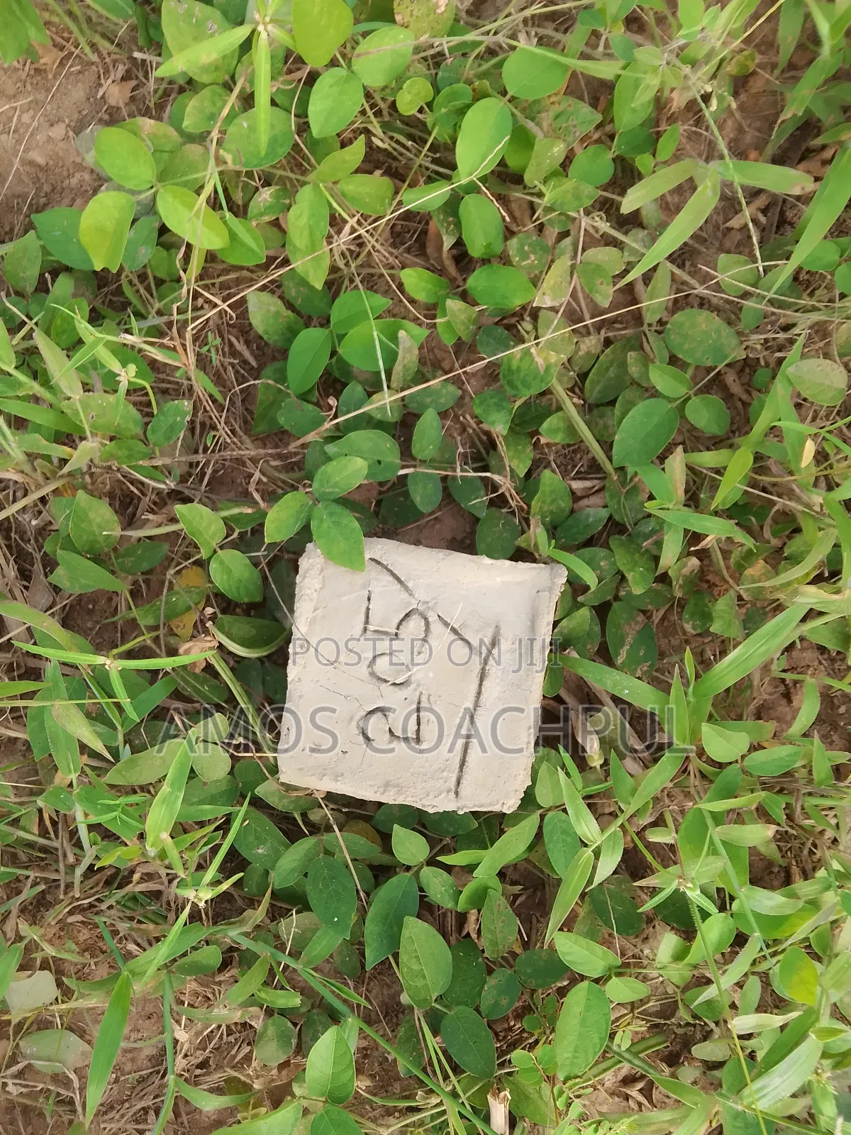 Plots at Syn Agenda 111 Hospital/Ringe-Road in Sunyani Municipal