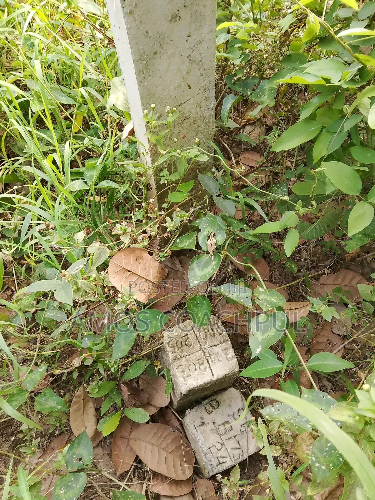 Plots at Syn Agenda 111 Hospital/Ringe-Road in Sunyani Municipal