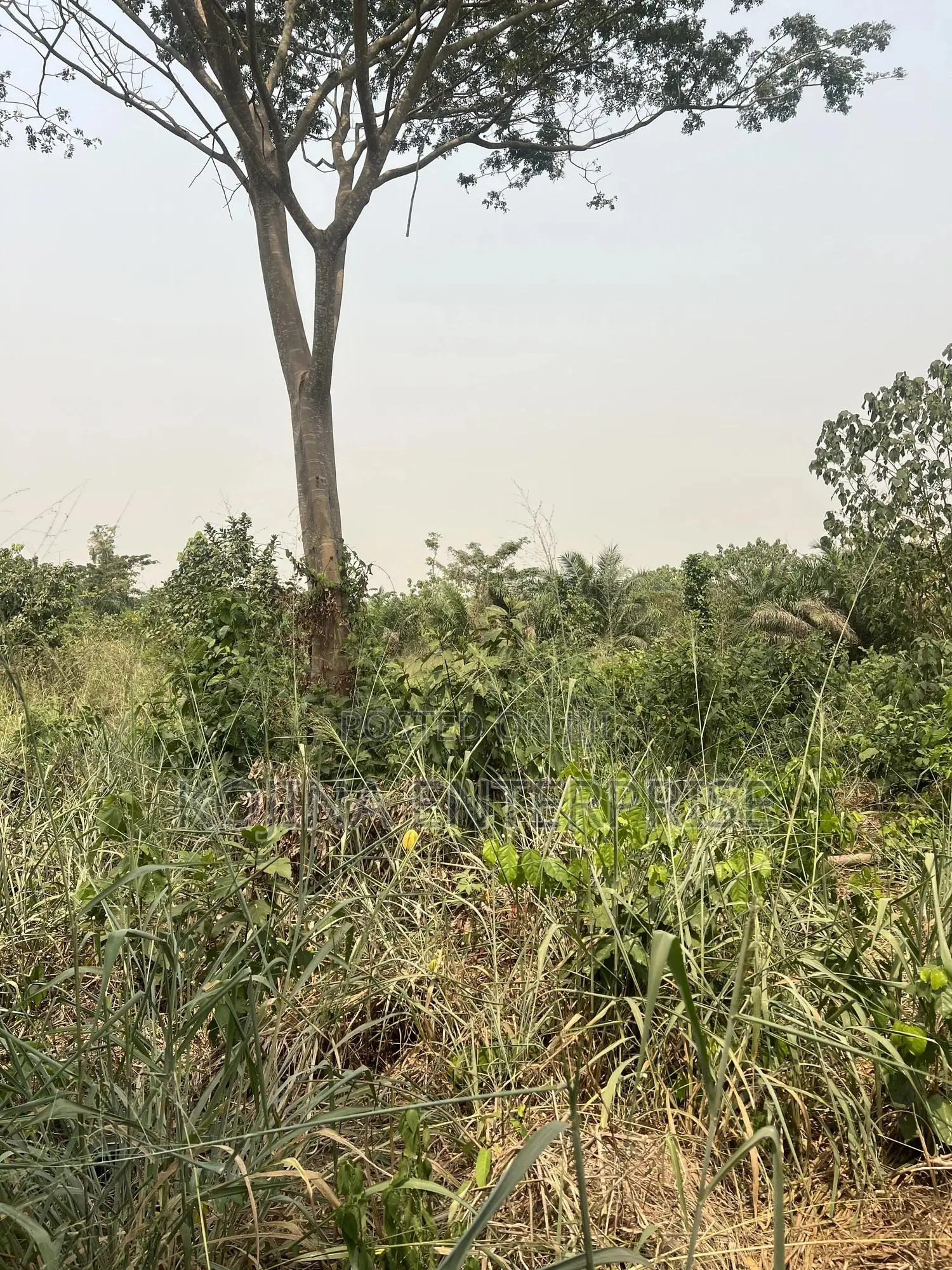 Land for Sale in Ejisu-Juaben Municipal