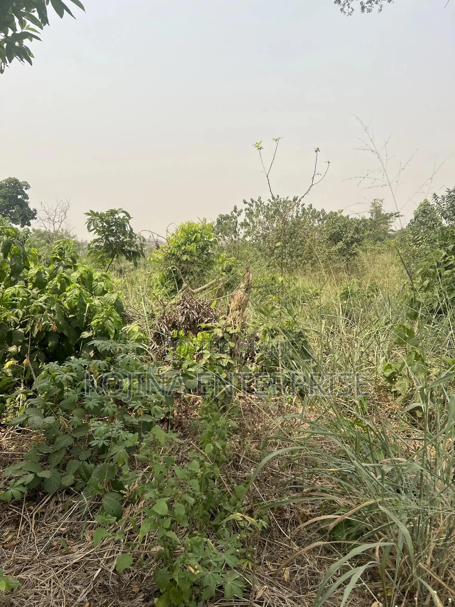Land for Sale in Ejisu-Juaben Municipal