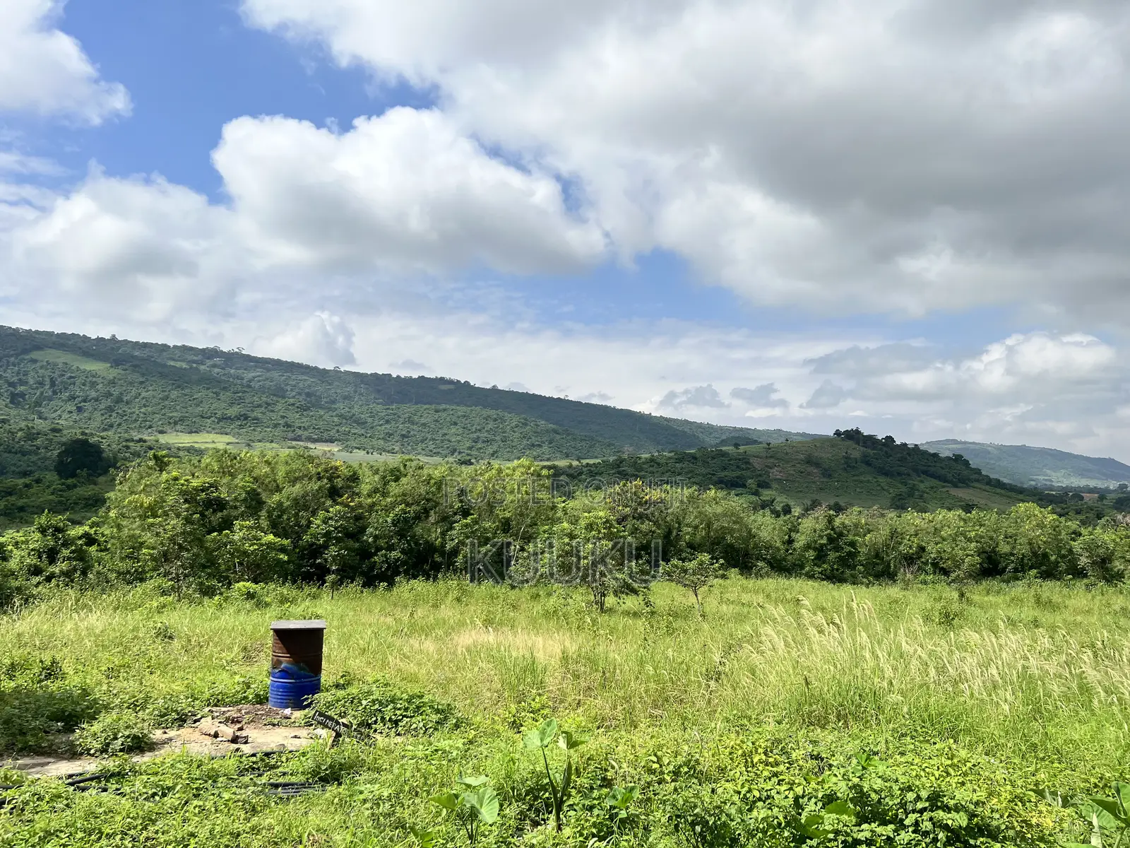 Main Road Land Aburi-Pokrom in Aburi