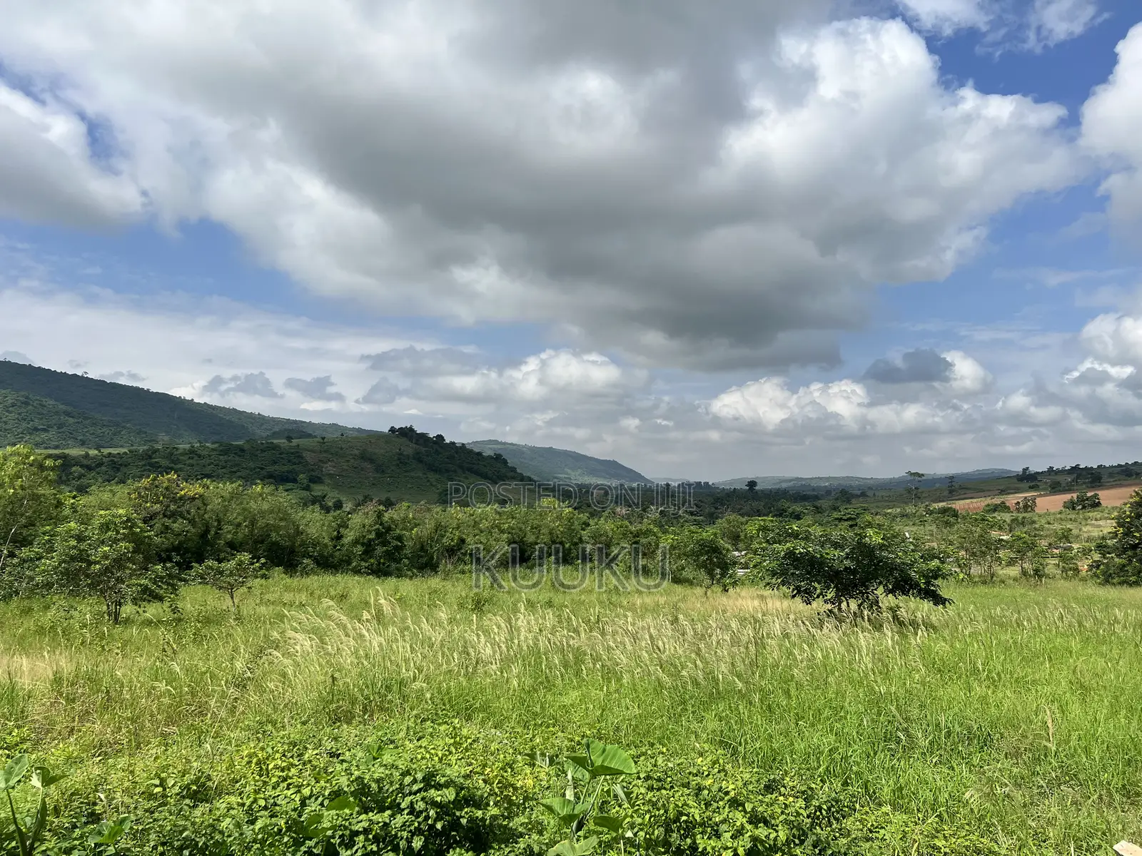 Main Road Land Aburi-Pokrom in Aburi