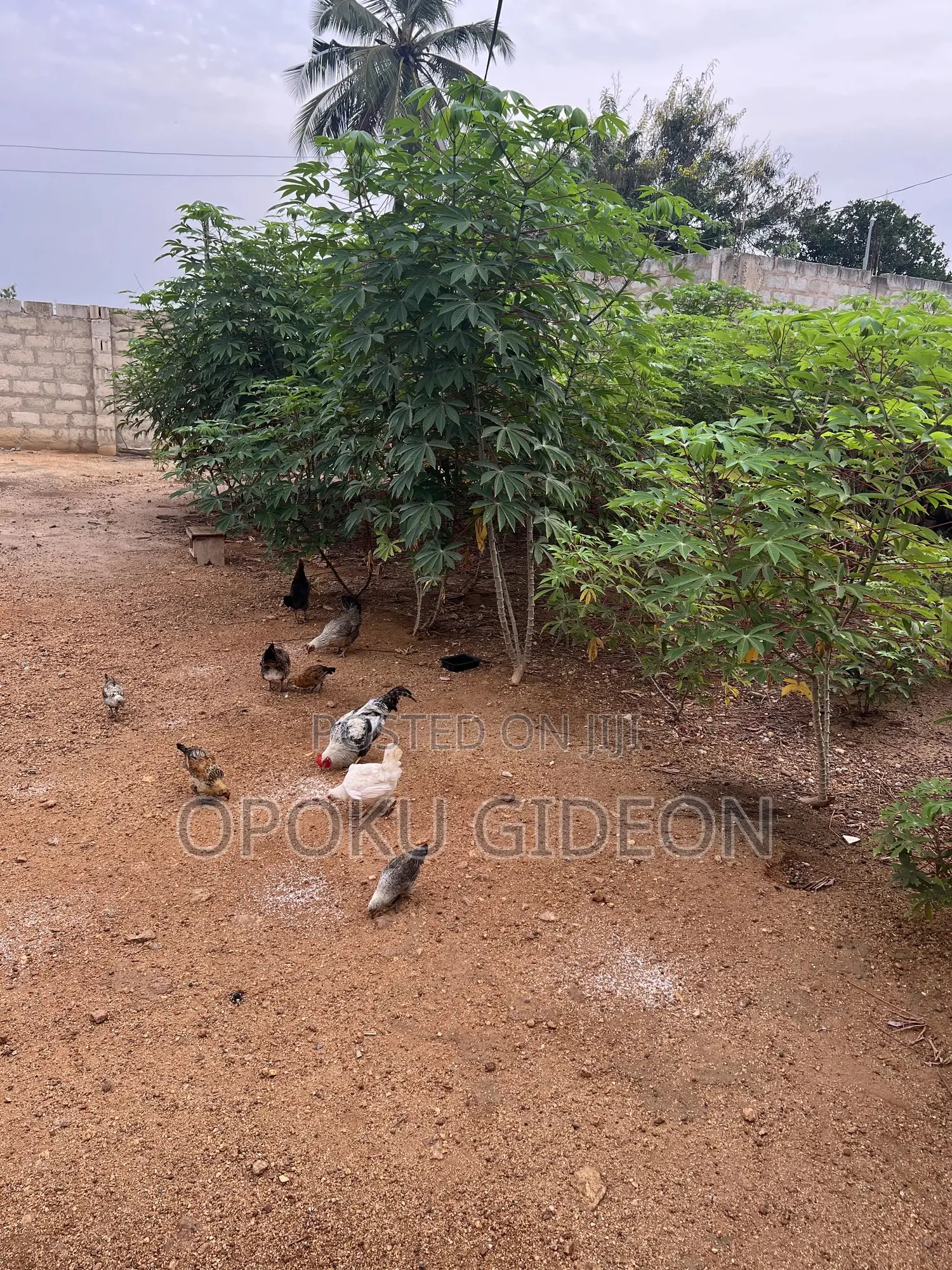 1 Plot of Land for Sale at Ablekuma Manhean in Manhean