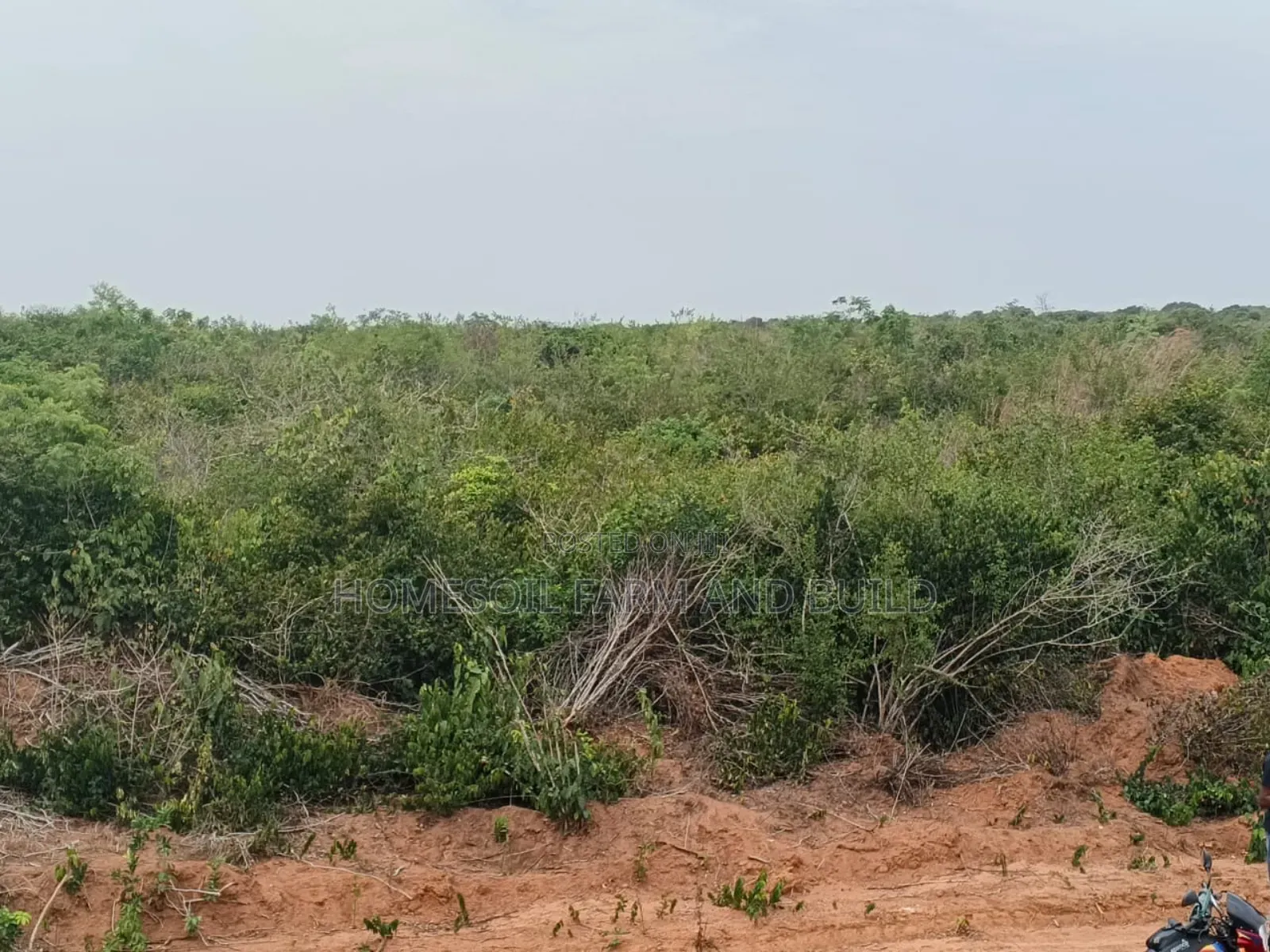 8 Plots of Flat Land With Beautiful Sea View for Sale in Awutu Senya East Municipal
