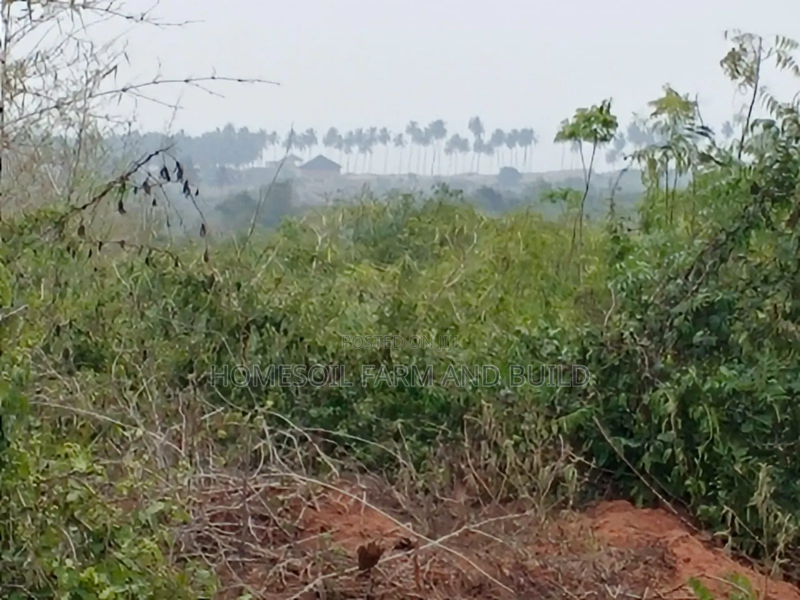 8 Plots of Flat Land With Beautiful Sea View for Sale in Awutu Senya East Municipal