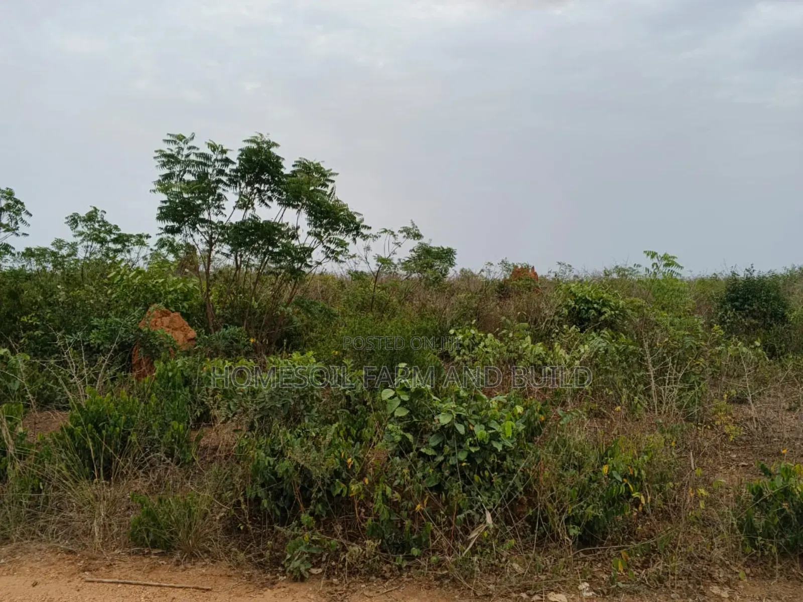 4 Acres of Litigation Free Residential Land, at Senya for Sale in Awutu Senya East Municipal