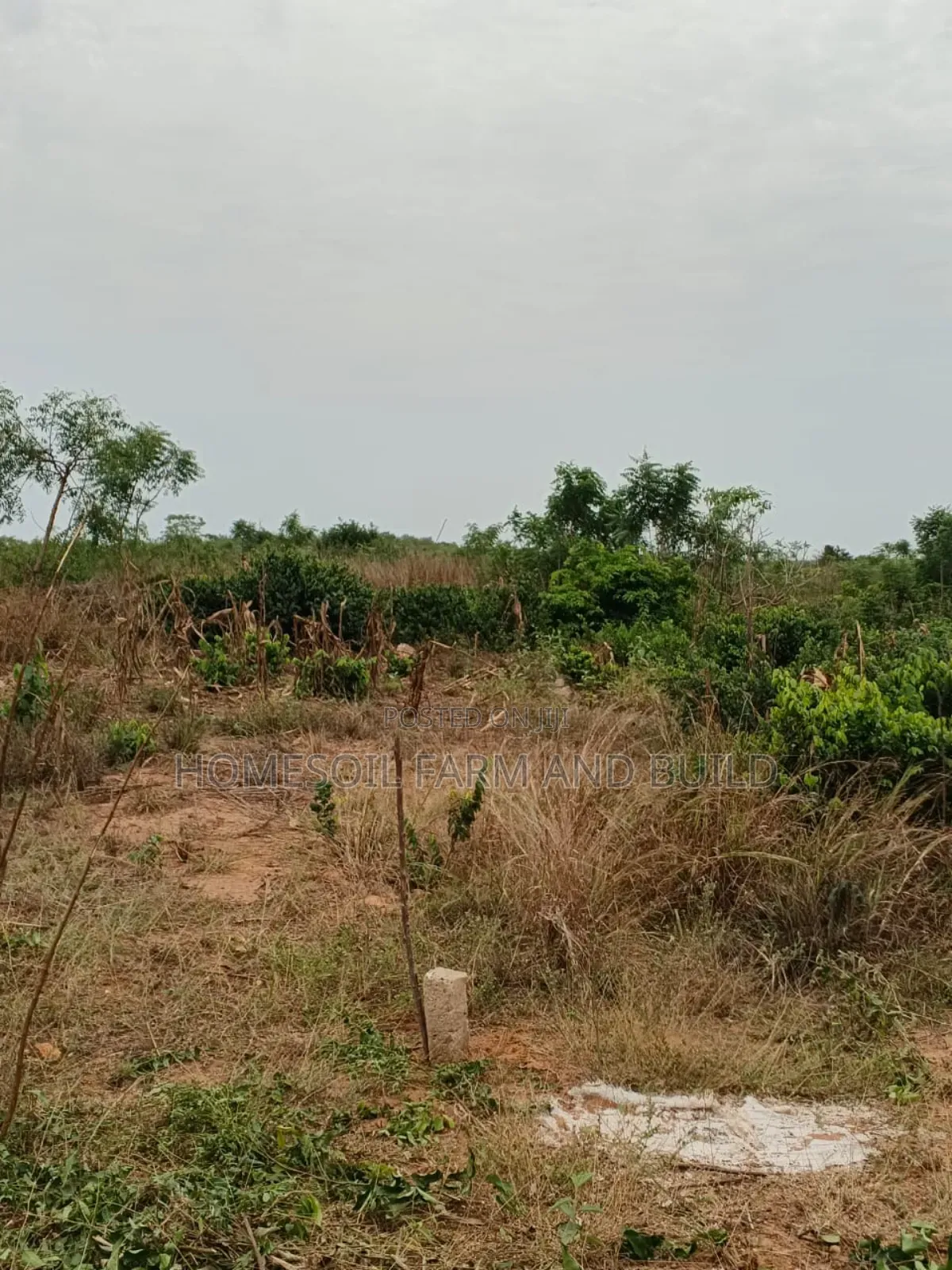 4 Acres of Litigation Free Residential Land, at Senya for Sale in Awutu Senya East Municipal