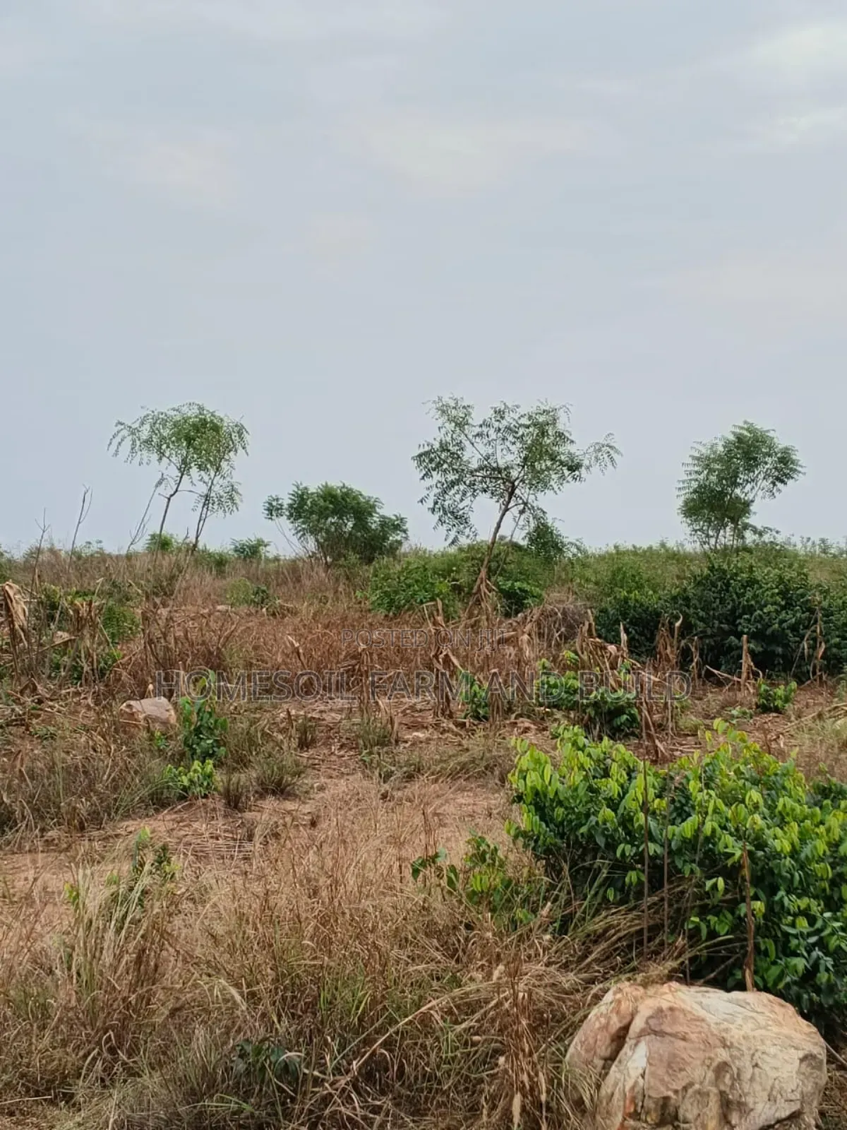 4 Acres of Litigation Free Residential Land, at Senya for Sale in Awutu Senya East Municipal