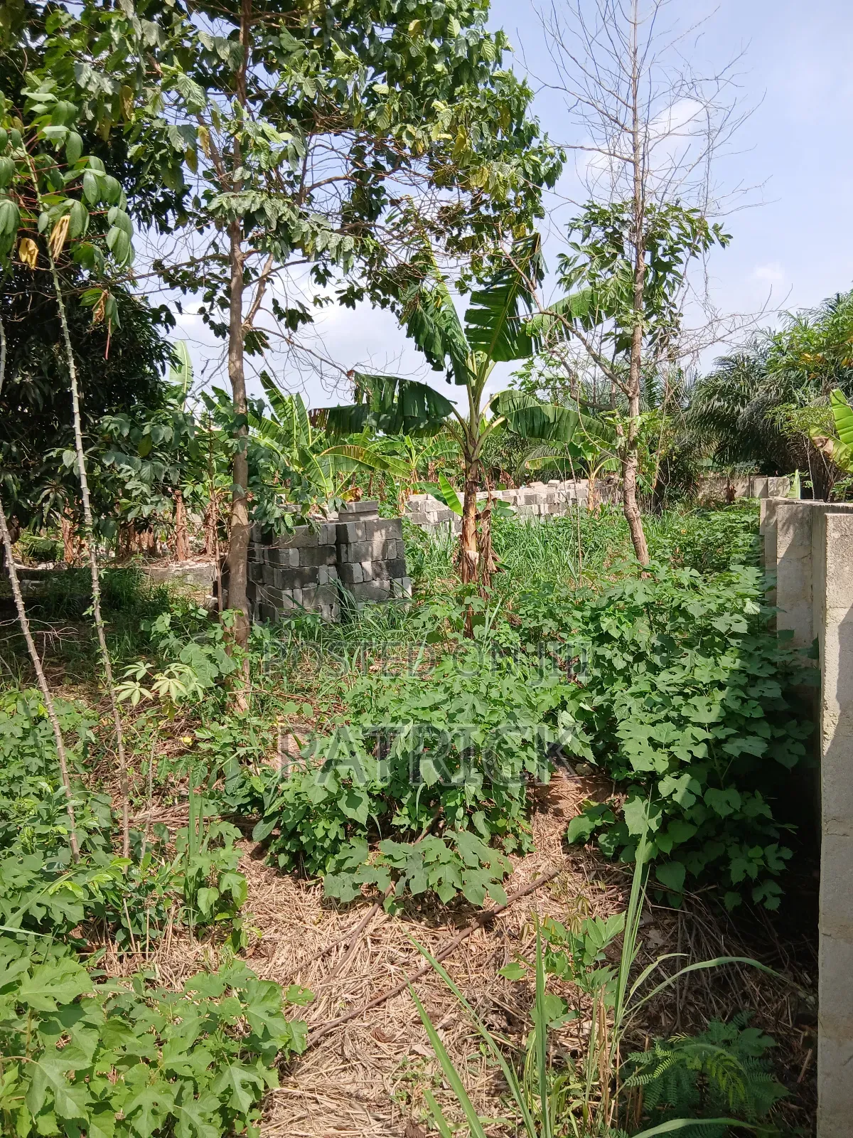 Two Plots of Land Just Behind Mowire Hospital in Afigya-Kwabre
