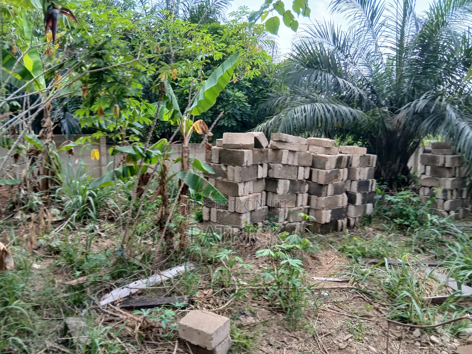 Two Plots of Land Just Behind Mowire Hospital in Afigya-Kwabre