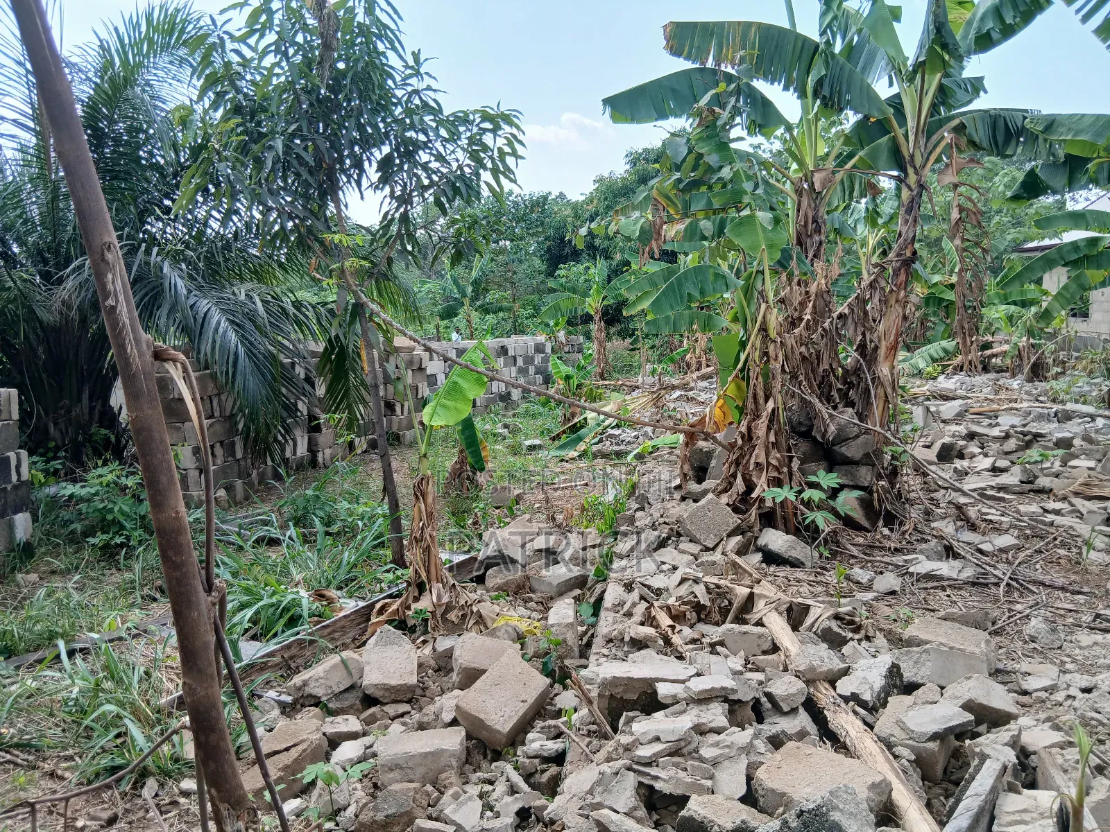 Two Plots of Land Just Behind Mowire Hospital in Afigya-Kwabre