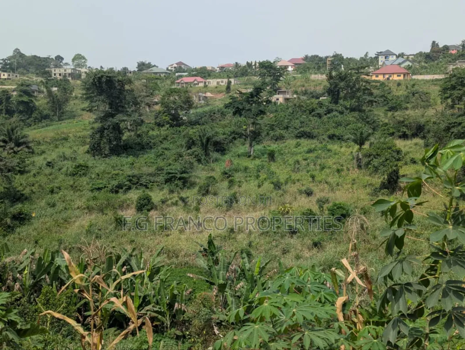 3.65 Acres Of Land For Sale In Osu in Osu