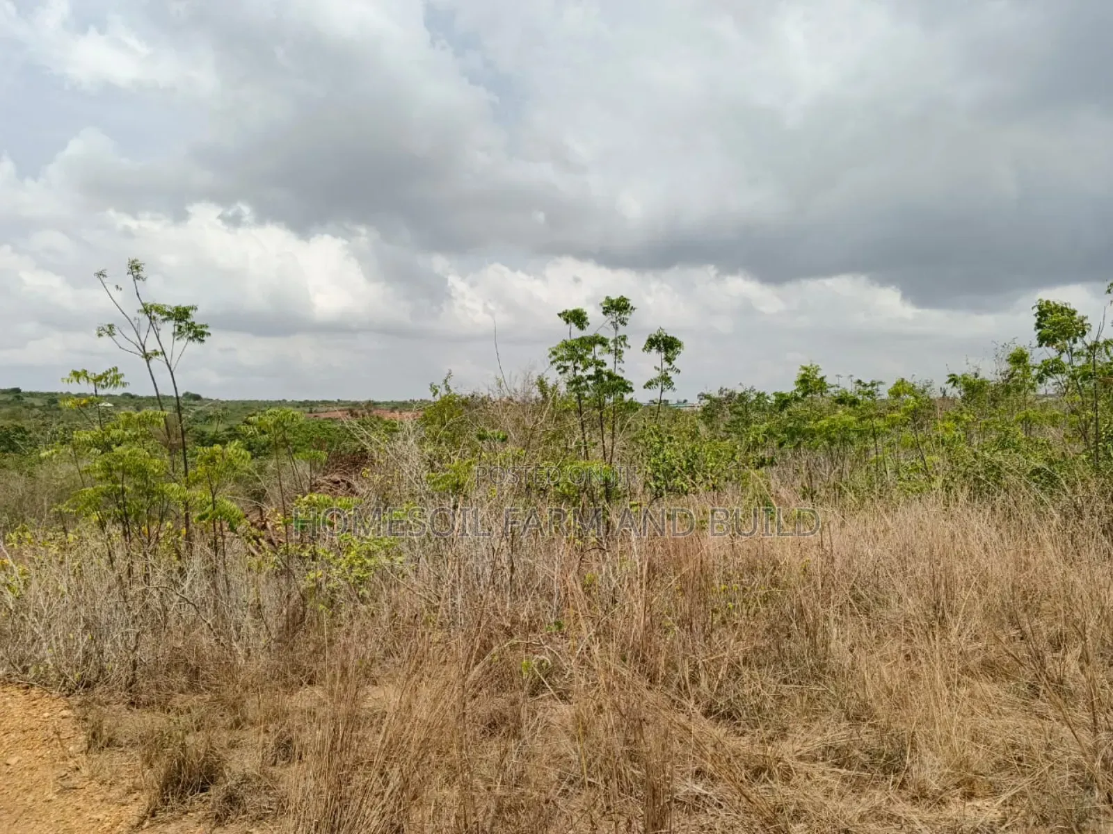 14 Plots Of Prime, Genuine And Affordable Lands For Sale, At Fetteh. in Gomoa East